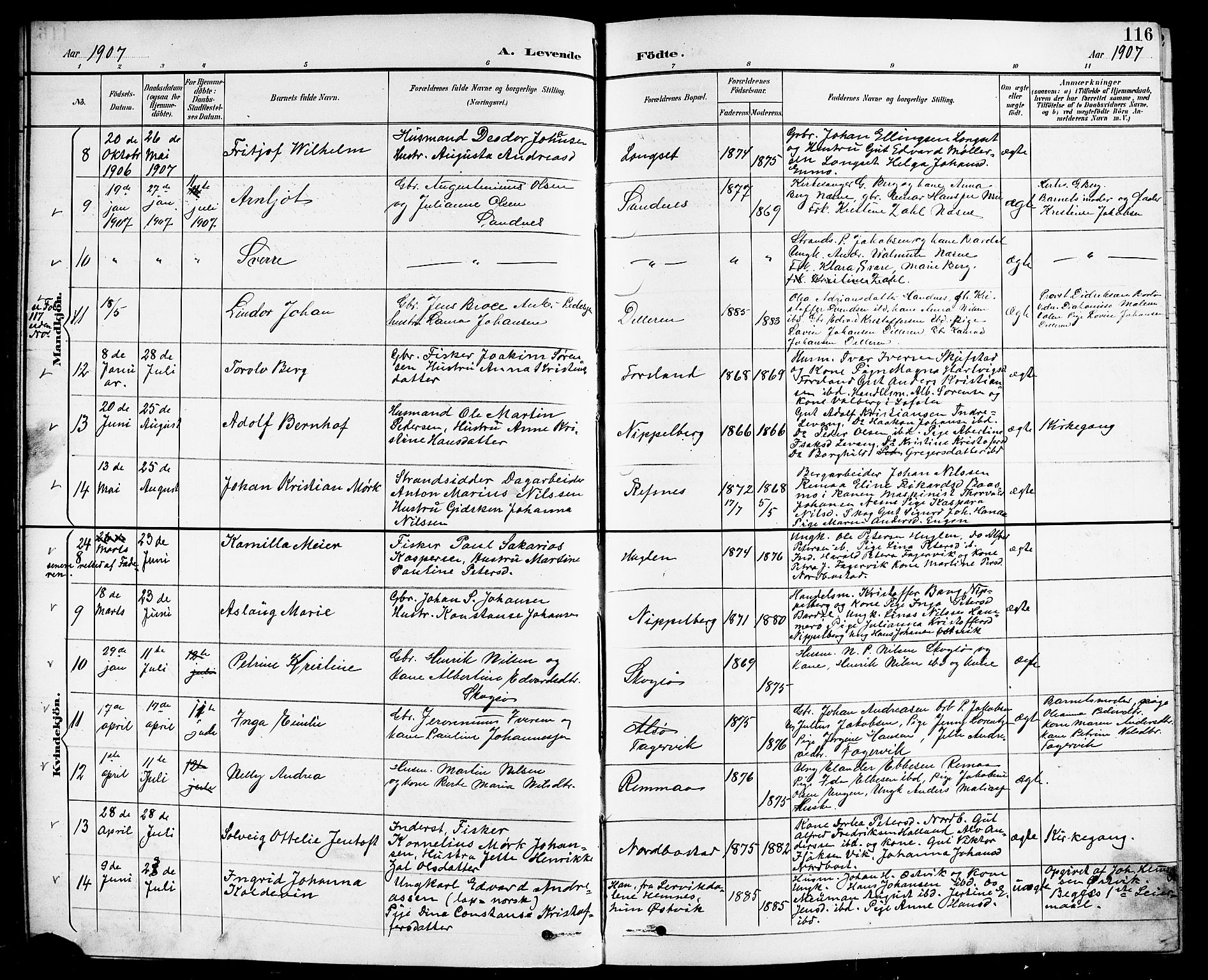 Ministerialprotokoller, klokkerbøker og fødselsregistre - Nordland, AV/SAT-A-1459/838/L0559: Parish register (copy) no. 838C06, 1893-1910, p. 116