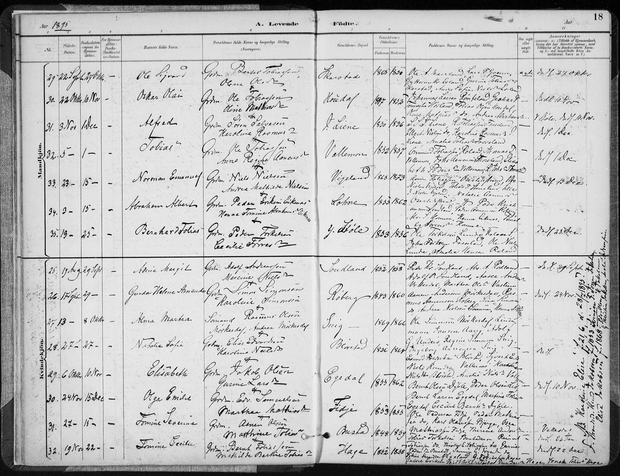 Sør-Audnedal sokneprestkontor, AV/SAK-1111-0039/F/Fa/Fab/L0010: Parish register (official) no. A 10, 1892-1913, p. 18