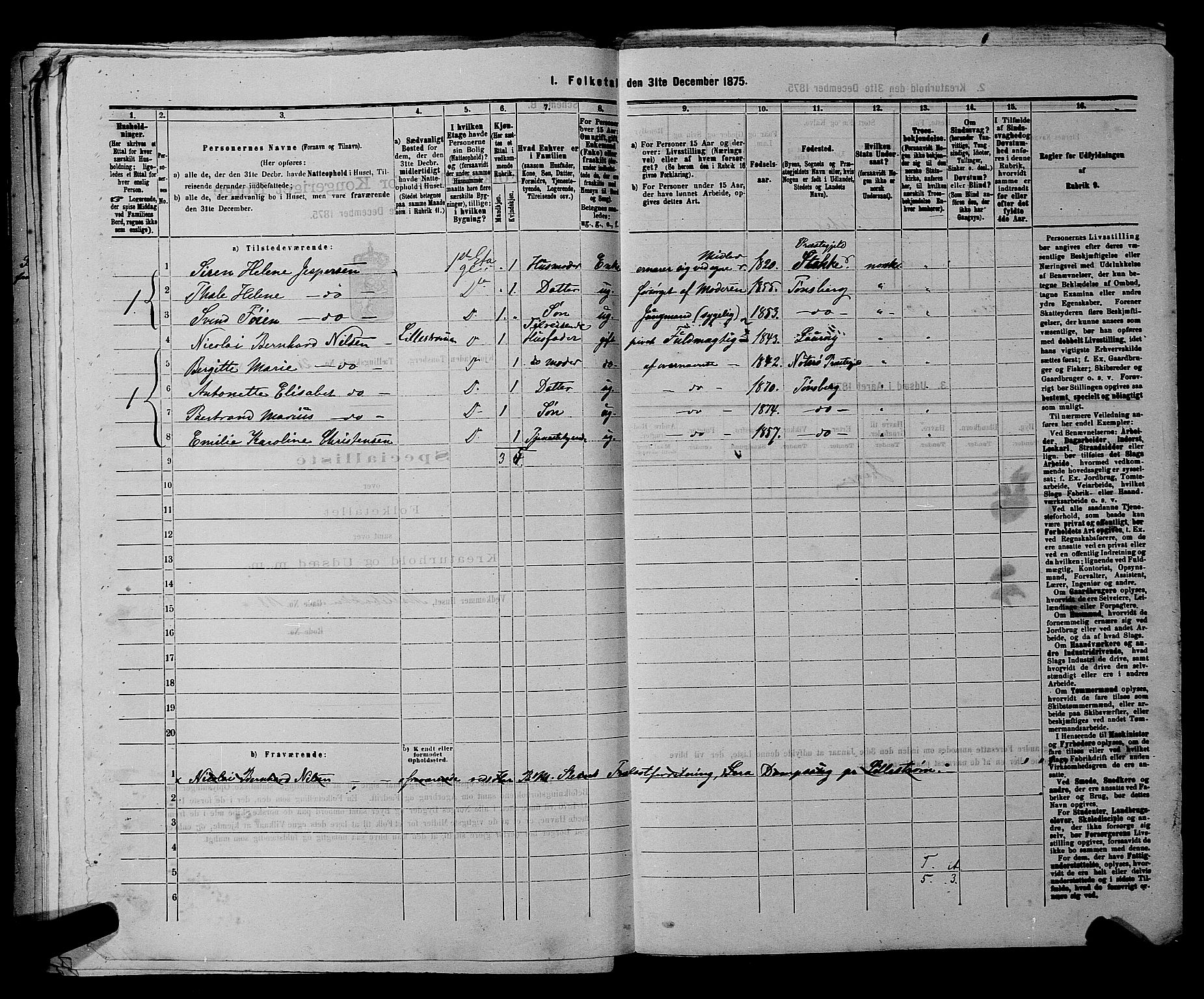 SAKO, 1875 census for 0705P Tønsberg, 1875, p. 685