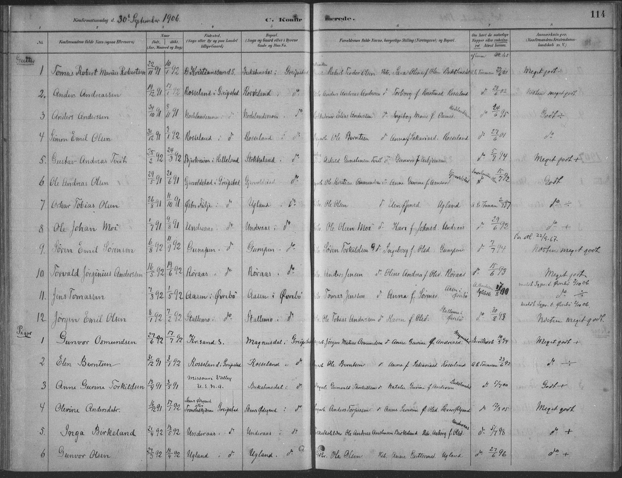 Søgne sokneprestkontor, SAK/1111-0037/F/Fa/Faa/L0003: Parish register (official) no. A 3, 1883-1910, p. 115