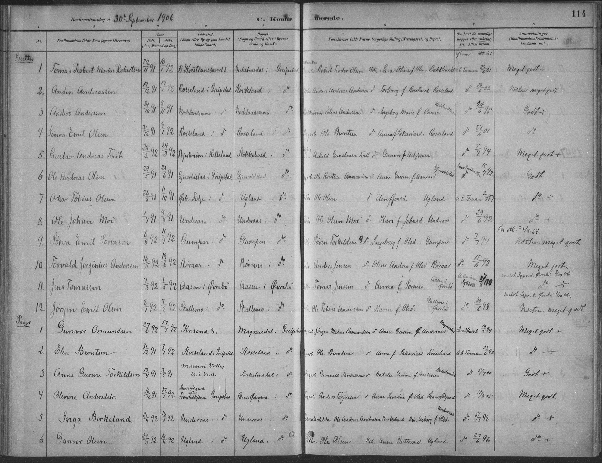 Søgne sokneprestkontor, AV/SAK-1111-0037/F/Fa/Faa/L0003: Parish register (official) no. A 3, 1883-1910, p. 115