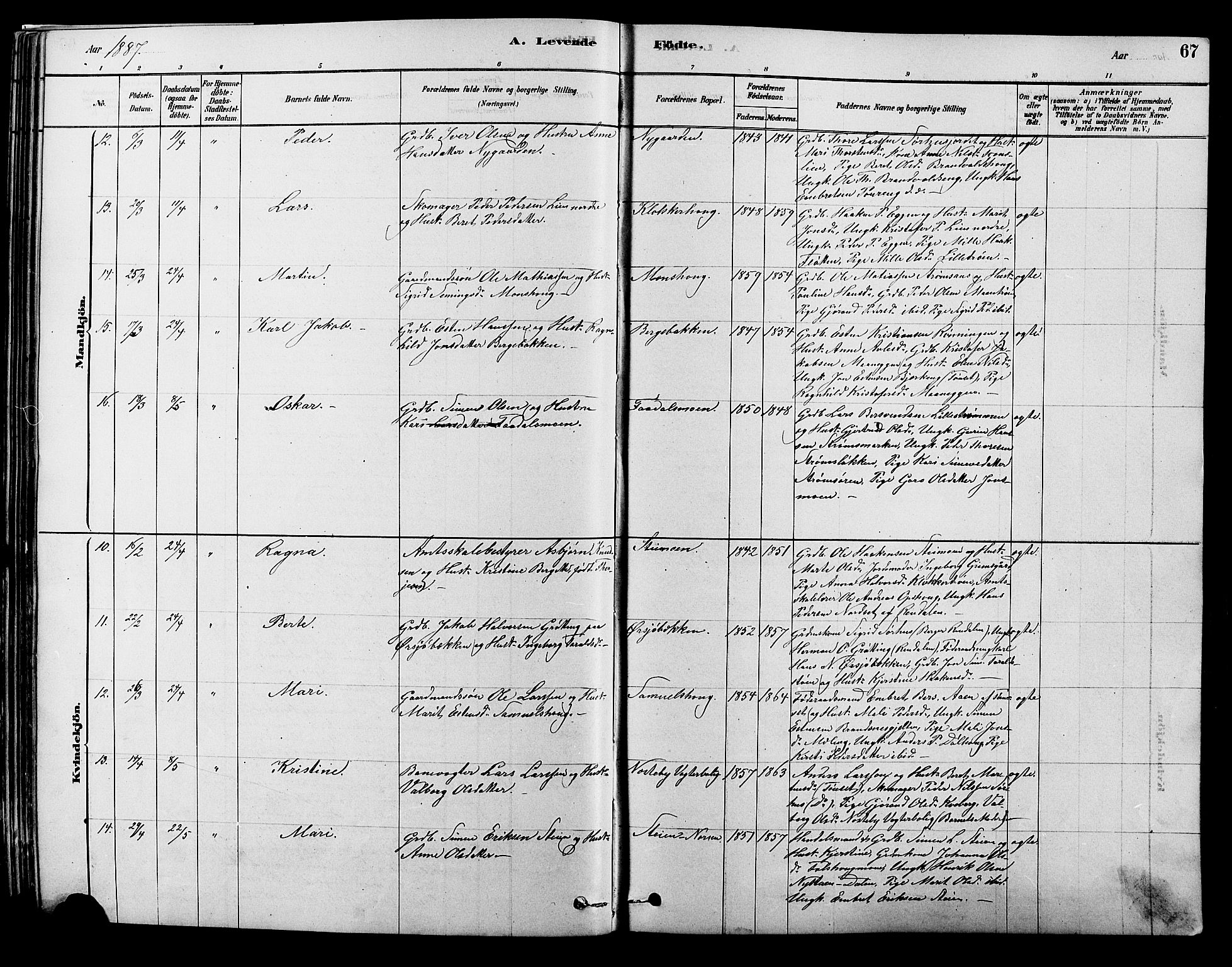 Alvdal prestekontor, AV/SAH-PREST-060/H/Ha/Hab/L0003: Parish register (copy) no. 3, 1878-1907, p. 67