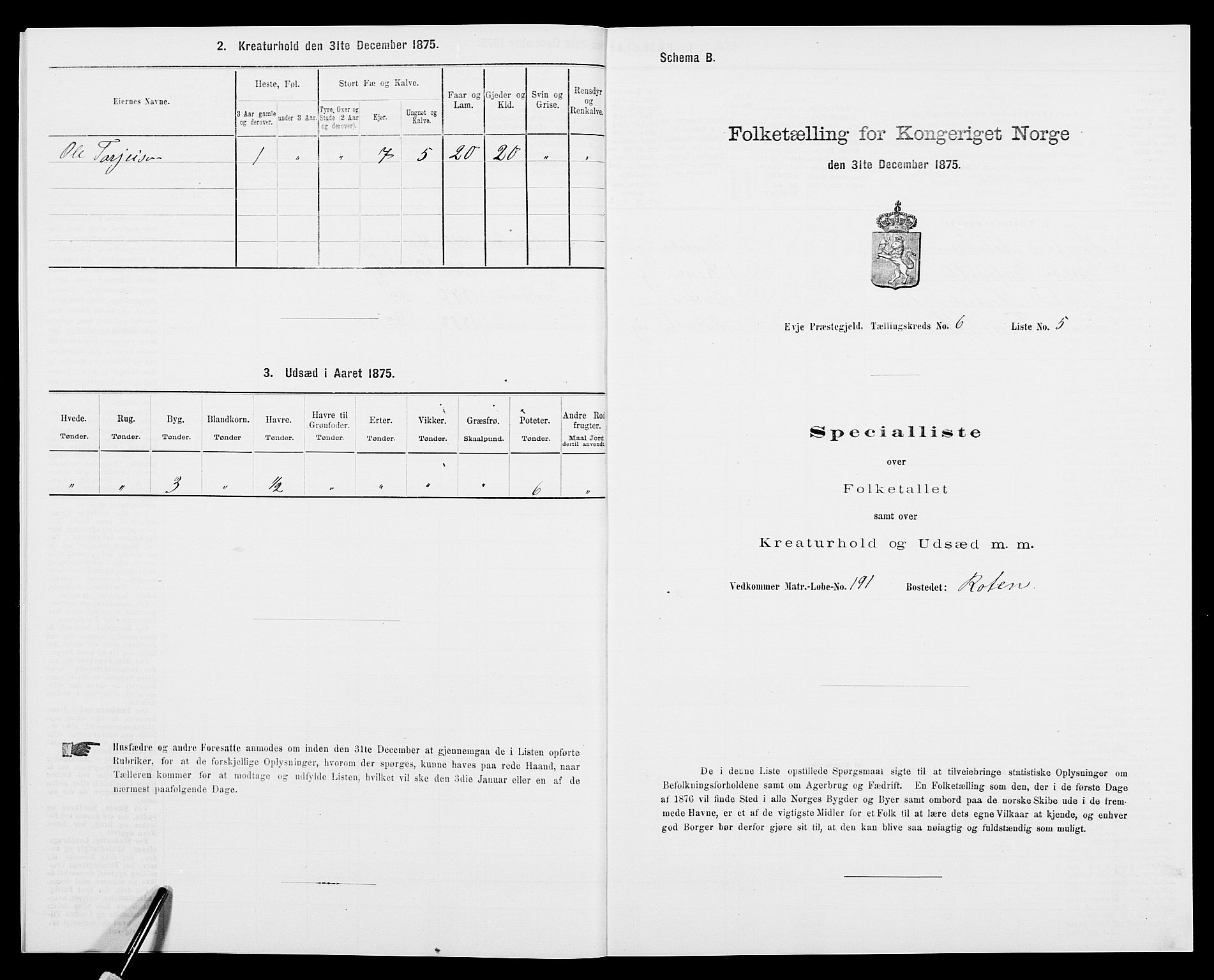 SAK, 1875 census for 0934P Evje, 1875, p. 517