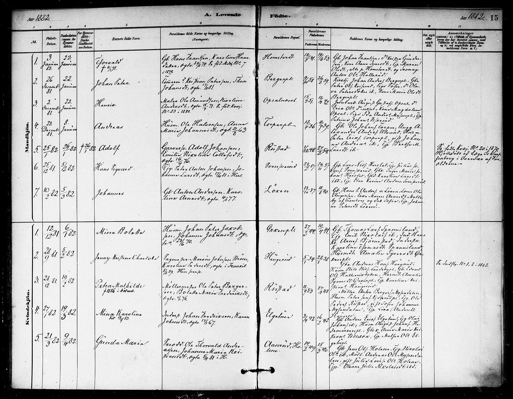 Eidsberg prestekontor Kirkebøker, AV/SAO-A-10905/F/Fb/L0001: Parish register (official) no. II 1, 1879-1900, p. 15