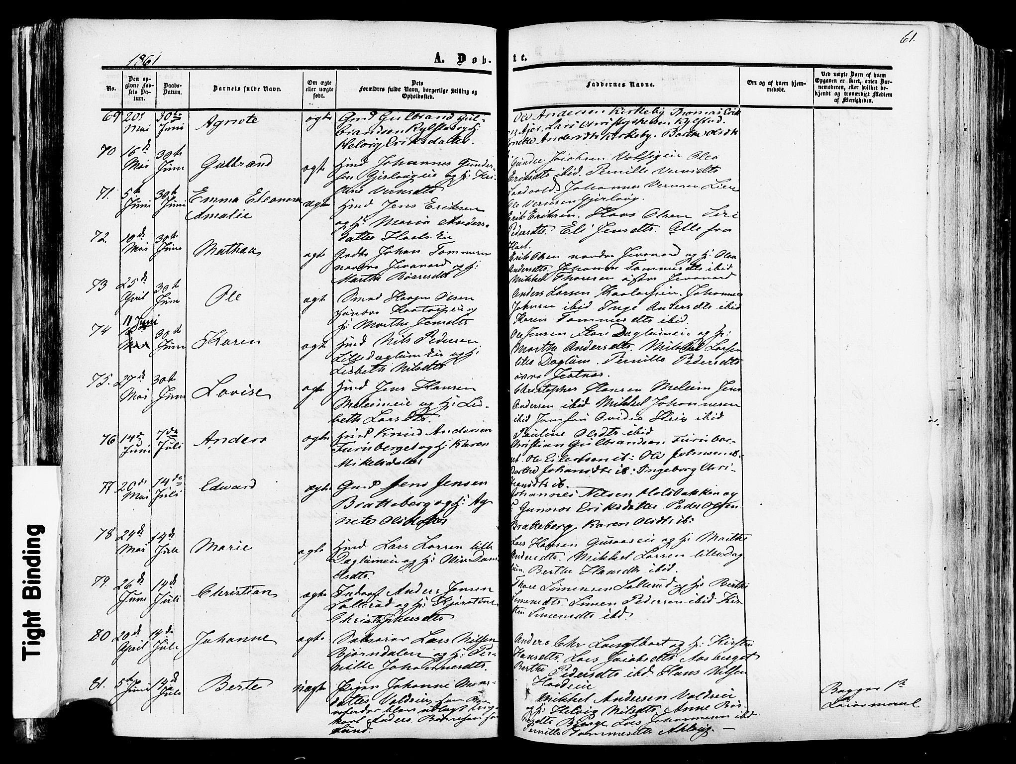 Vang prestekontor, Hedmark, AV/SAH-PREST-008/H/Ha/Haa/L0013: Parish register (official) no. 13, 1855-1879, p. 61