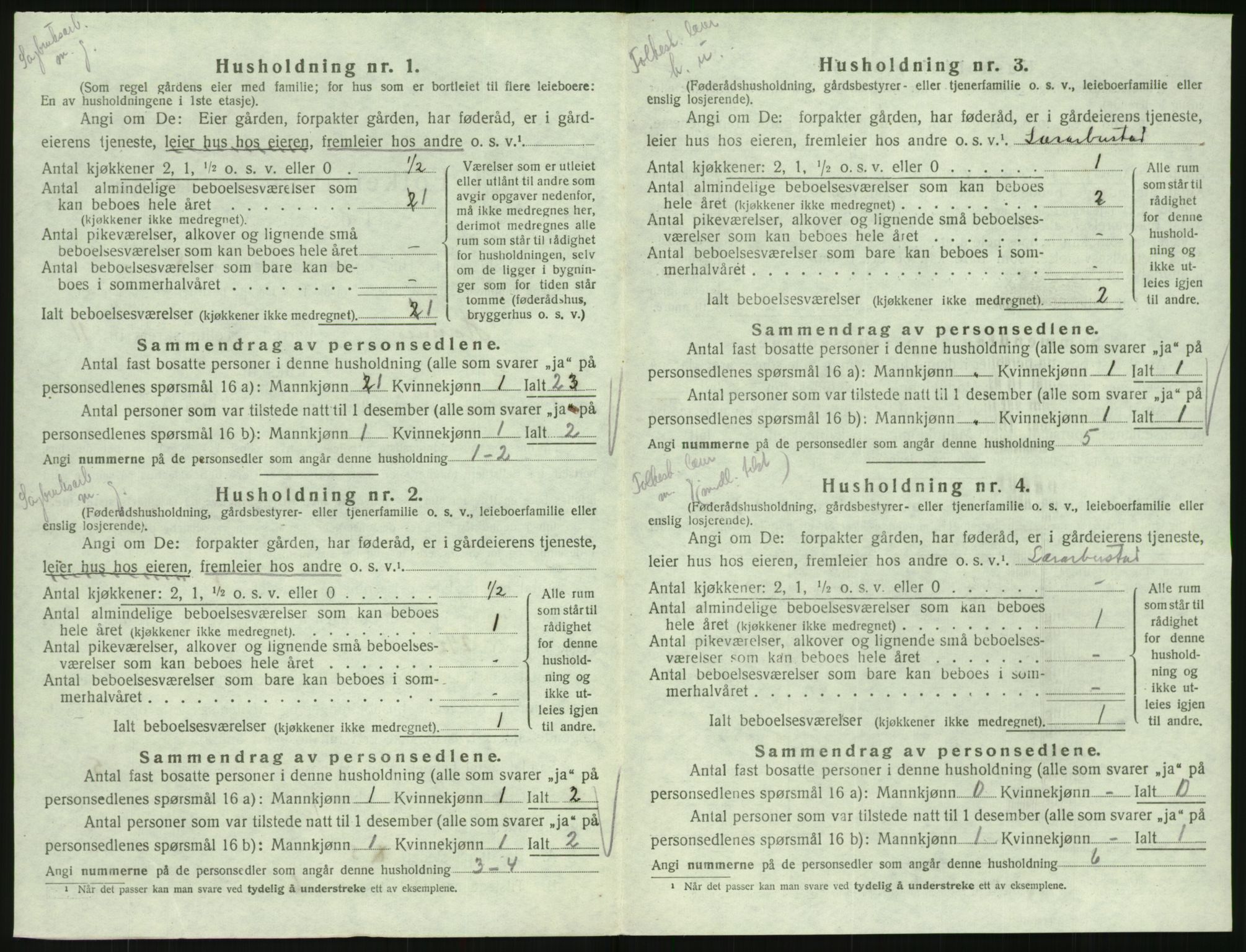 SAK, 1920 census for Hornnes, 1920, p. 446