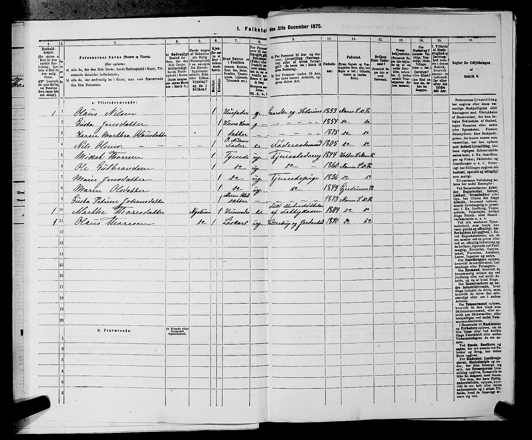 RA, 1875 census for 0238P Nannestad, 1875, p. 304