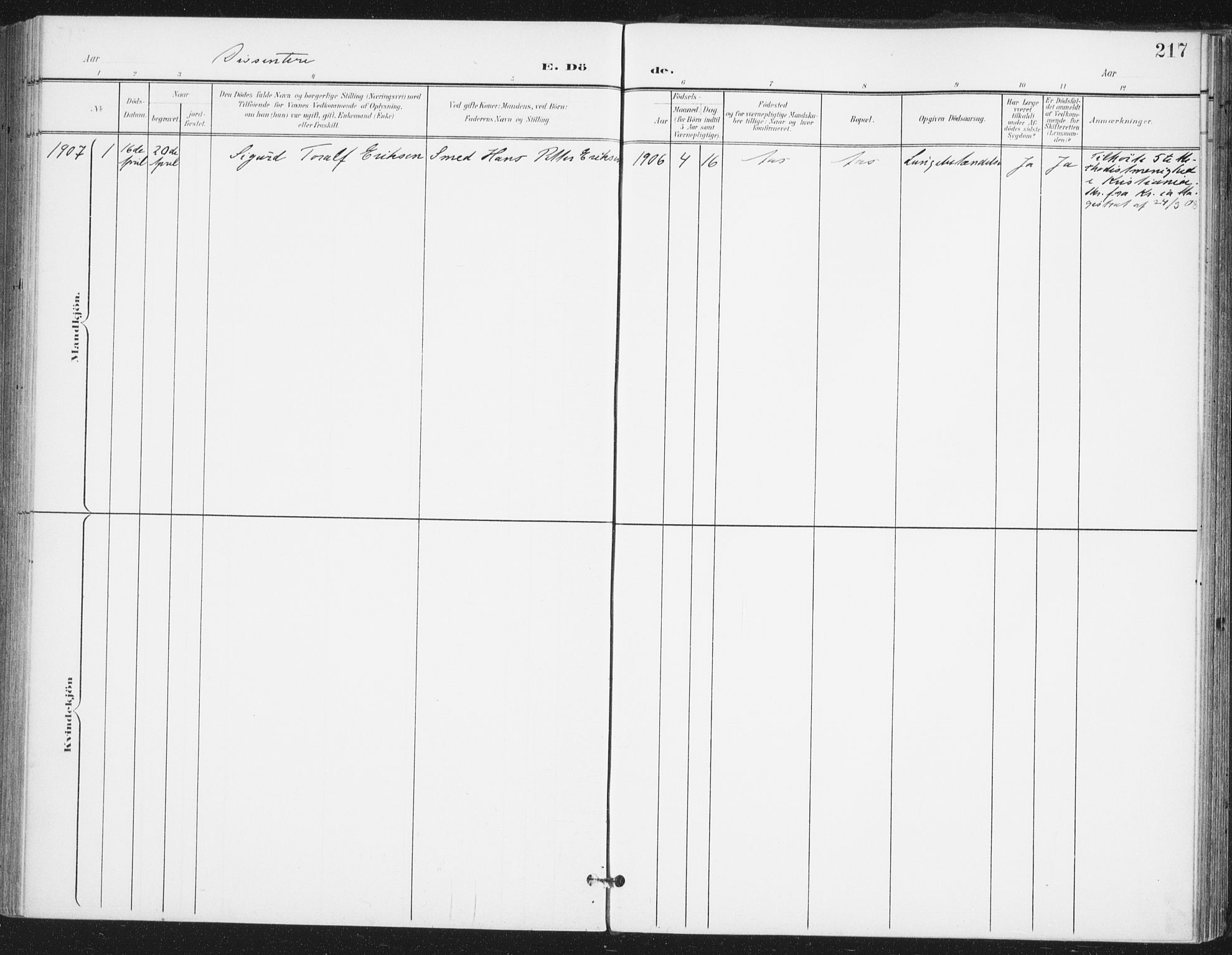Ås prestekontor Kirkebøker, SAO/A-10894/F/Fa/L0010: Parish register (official) no. I 10, 1900-1918, p. 217
