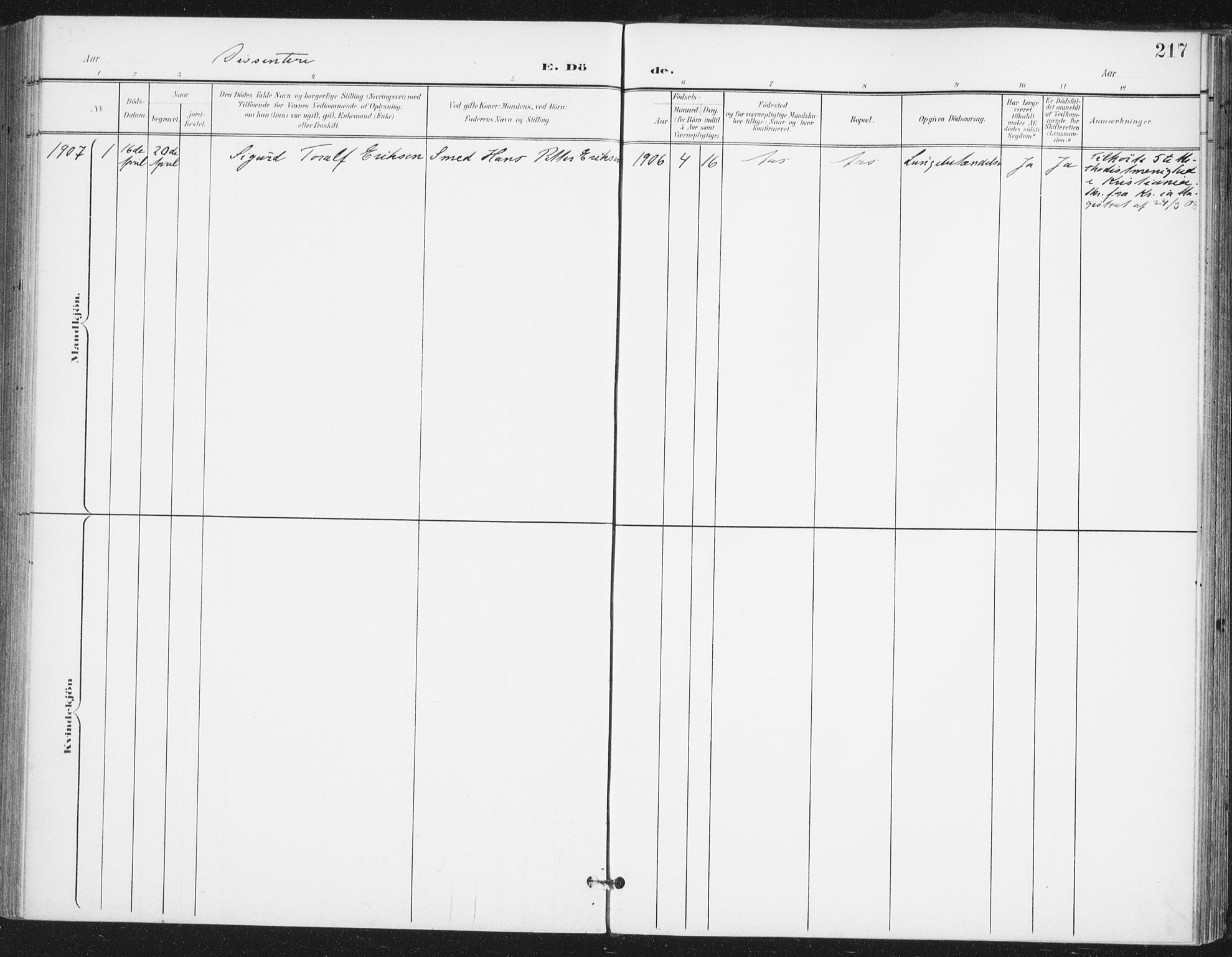 Ås prestekontor Kirkebøker, AV/SAO-A-10894/F/Fa/L0010: Parish register (official) no. I 10, 1900-1918, p. 217