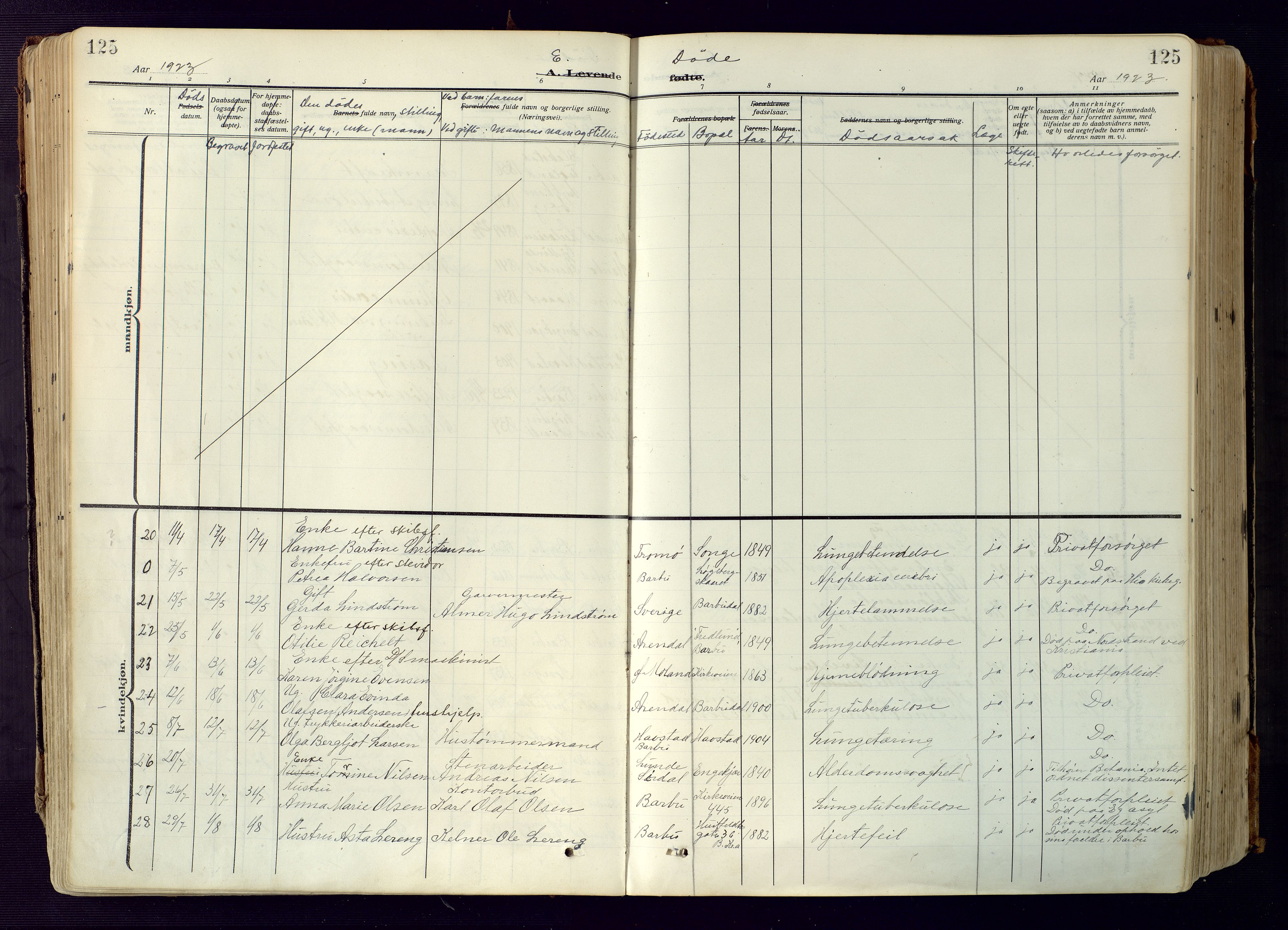 Barbu sokneprestkontor, AV/SAK-1111-0003/F/Fa/L0006: Parish register (official) no. A 6, 1910-1929, p. 125