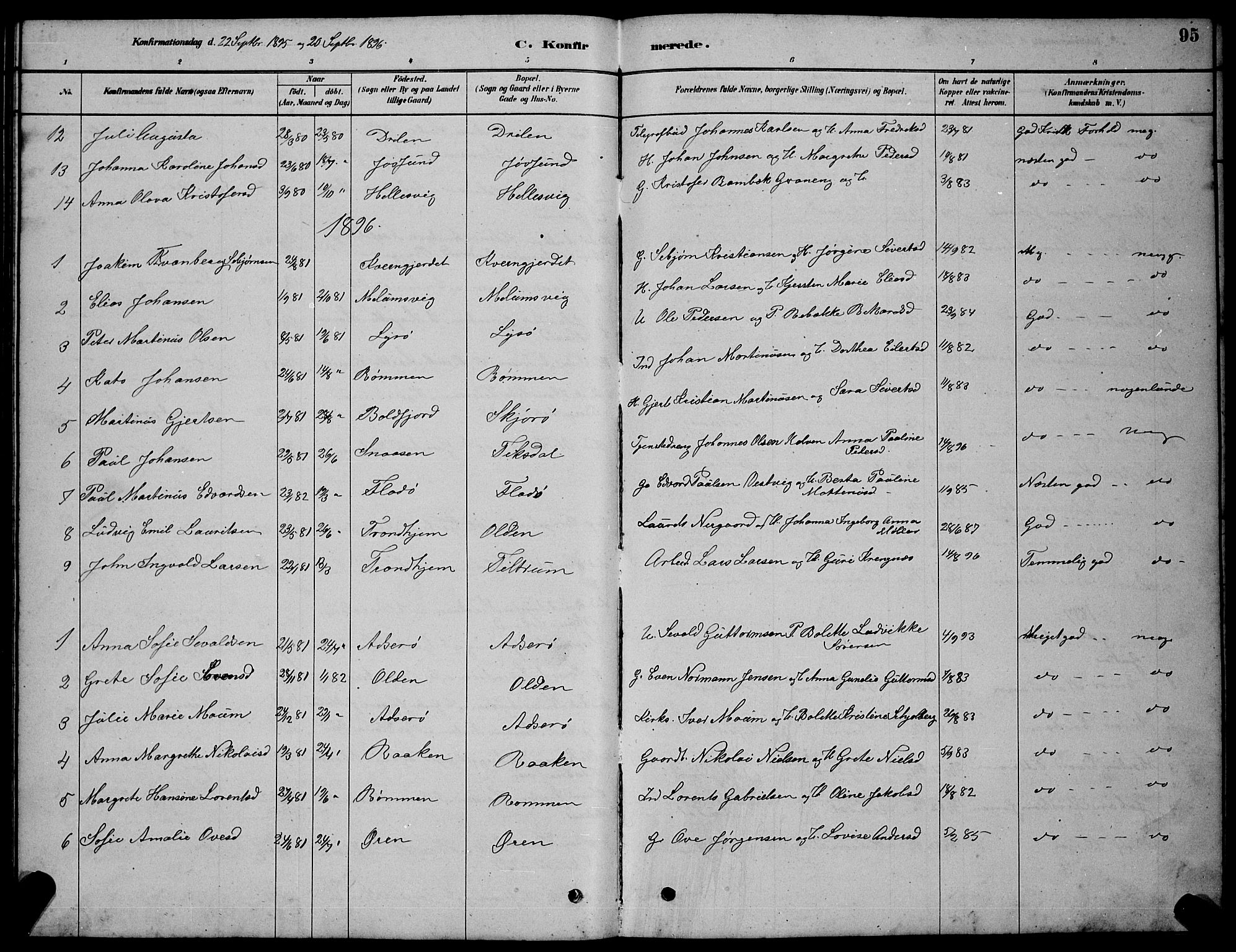 Ministerialprotokoller, klokkerbøker og fødselsregistre - Sør-Trøndelag, AV/SAT-A-1456/654/L0665: Parish register (copy) no. 654C01, 1879-1901, p. 95