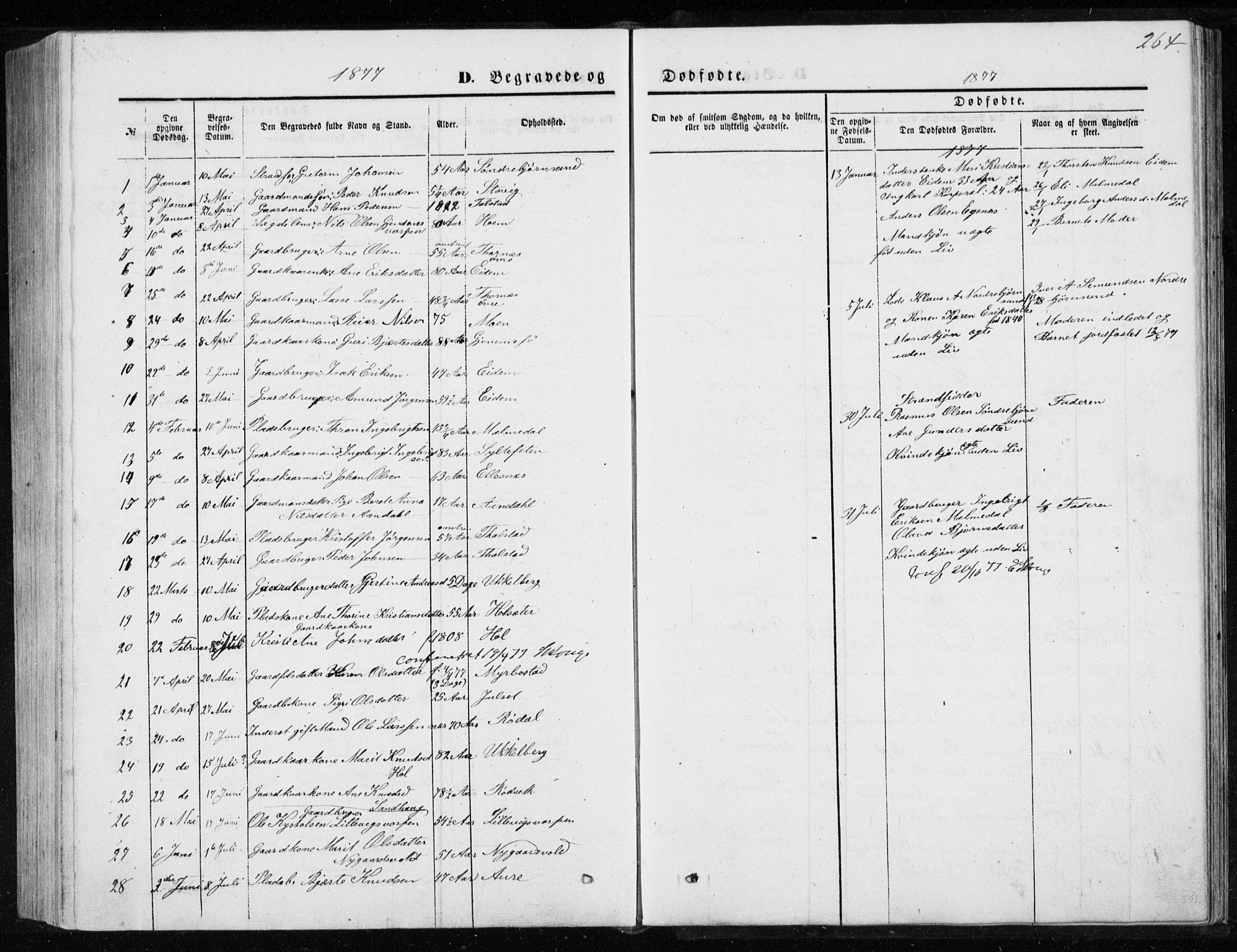 Ministerialprotokoller, klokkerbøker og fødselsregistre - Møre og Romsdal, AV/SAT-A-1454/565/L0754: Parish register (copy) no. 565C03, 1870-1896, p. 264