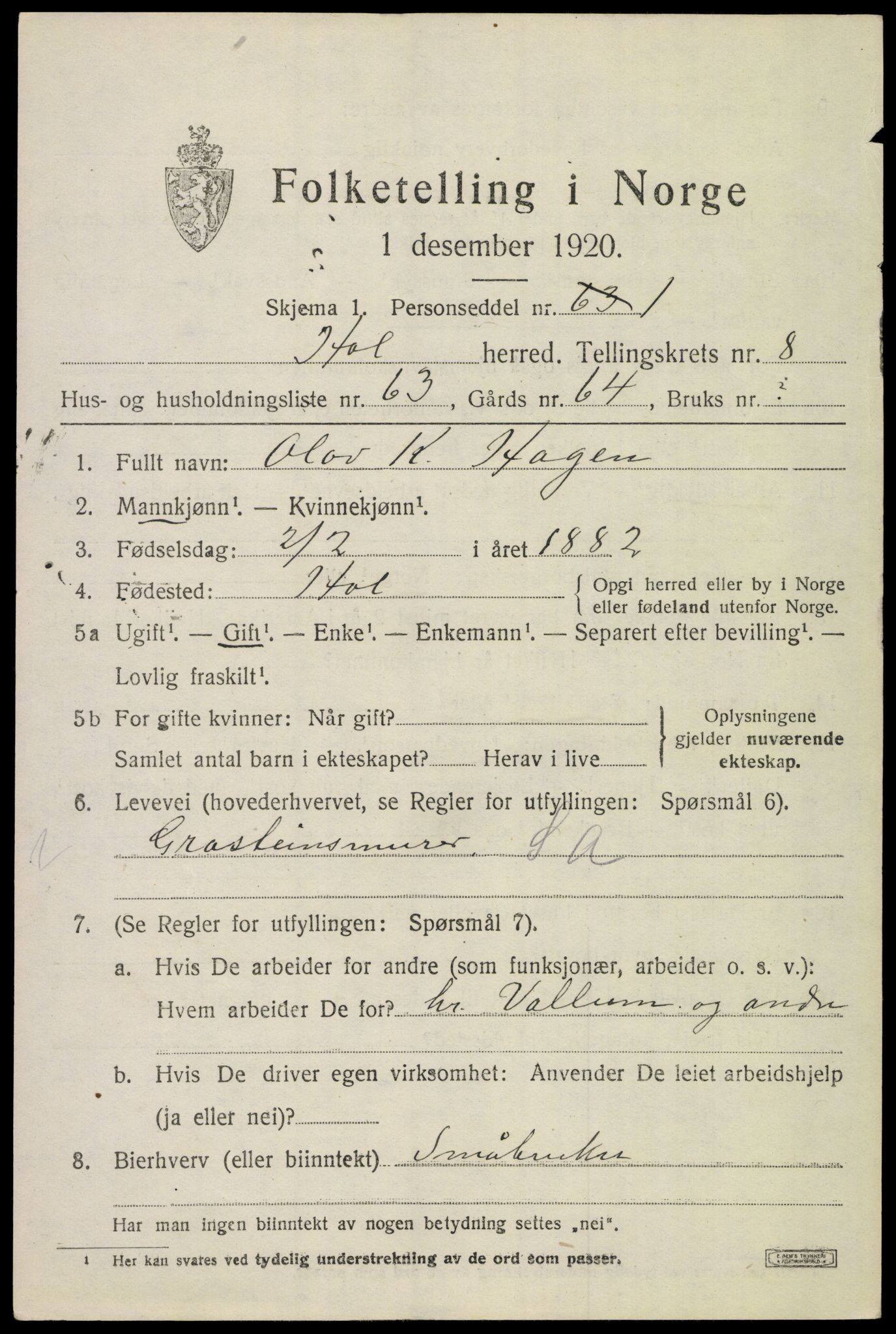 SAKO, 1920 census for Hol (Buskerud), 1920, p. 4919