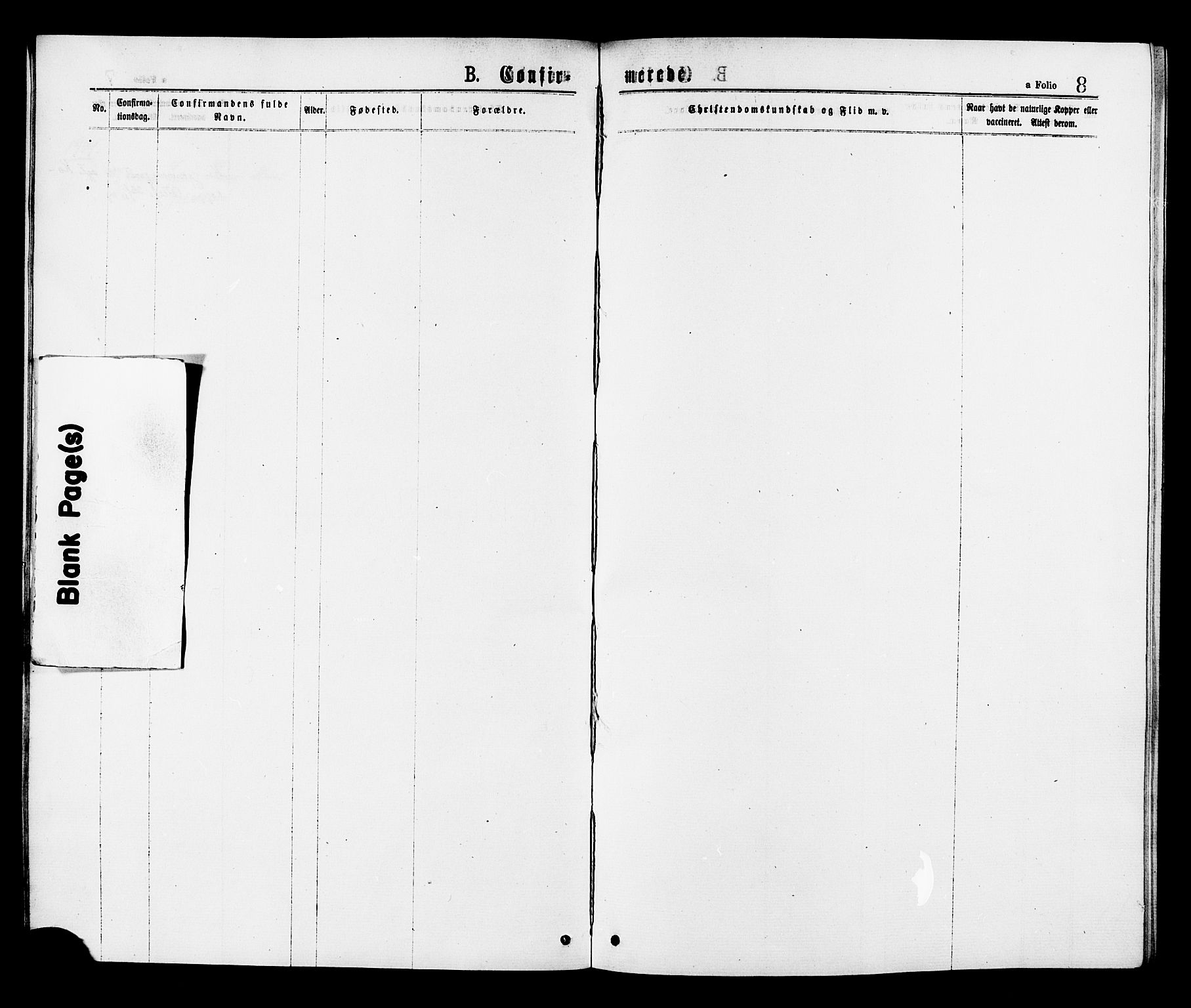 Ministerialprotokoller, klokkerbøker og fødselsregistre - Sør-Trøndelag, SAT/A-1456/624/L0482: Parish register (official) no. 624A03, 1870-1918, p. 8