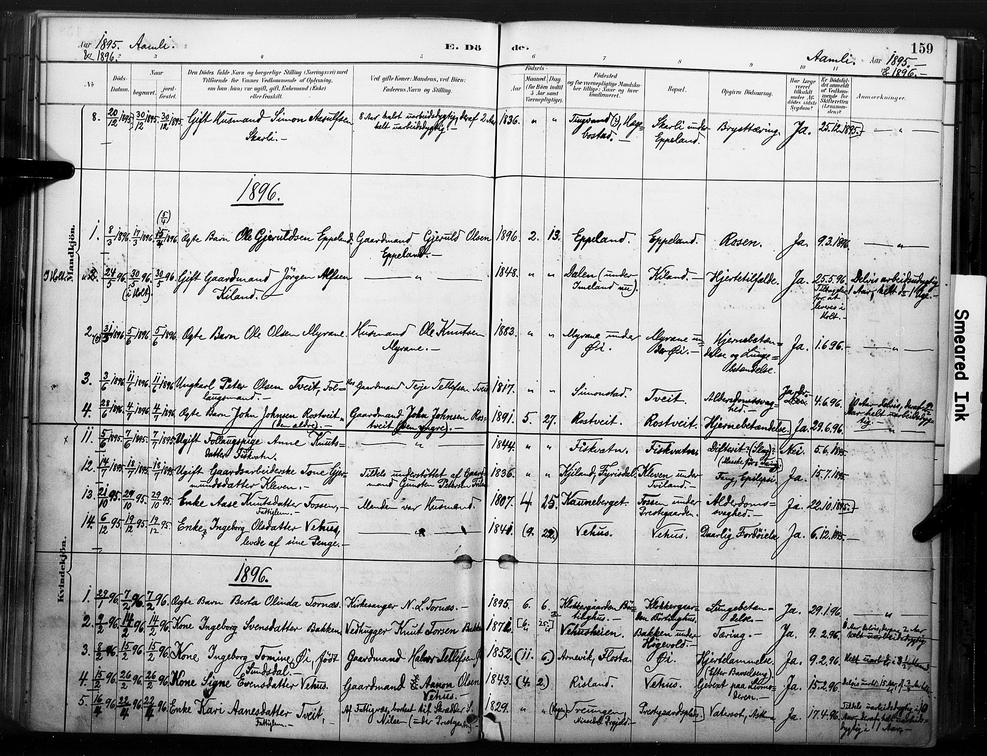Åmli sokneprestkontor, SAK/1111-0050/F/Fa/Fac/L0010: Parish register (official) no. A 10 /1, 1885-1899, p. 159