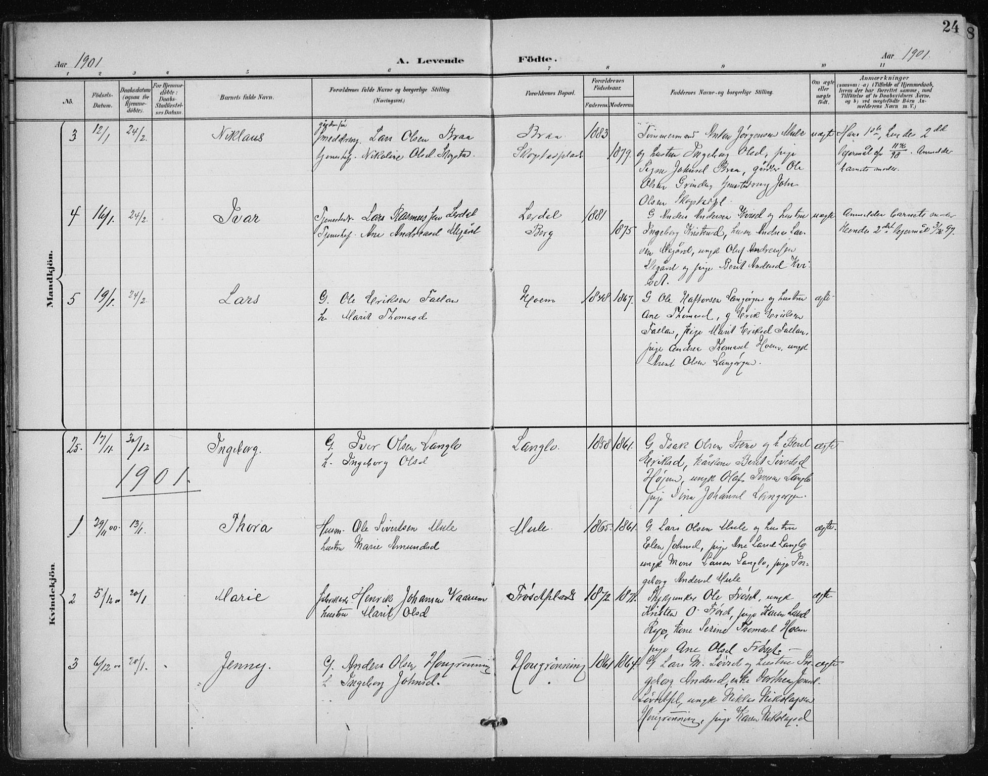 Ministerialprotokoller, klokkerbøker og fødselsregistre - Sør-Trøndelag, SAT/A-1456/612/L0380: Parish register (official) no. 612A12, 1898-1907, p. 24