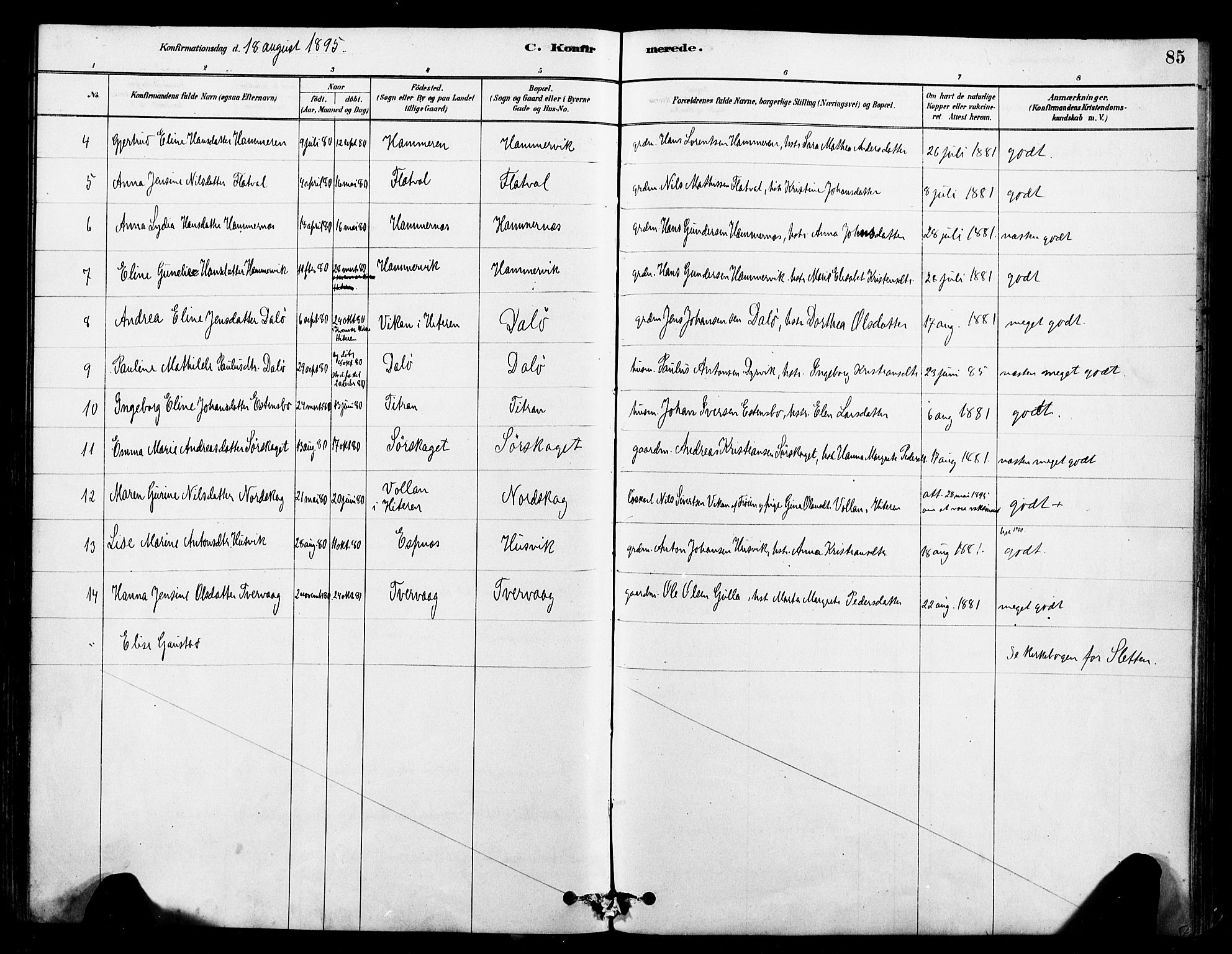 Ministerialprotokoller, klokkerbøker og fødselsregistre - Sør-Trøndelag, AV/SAT-A-1456/641/L0595: Parish register (official) no. 641A01, 1882-1897, p. 85