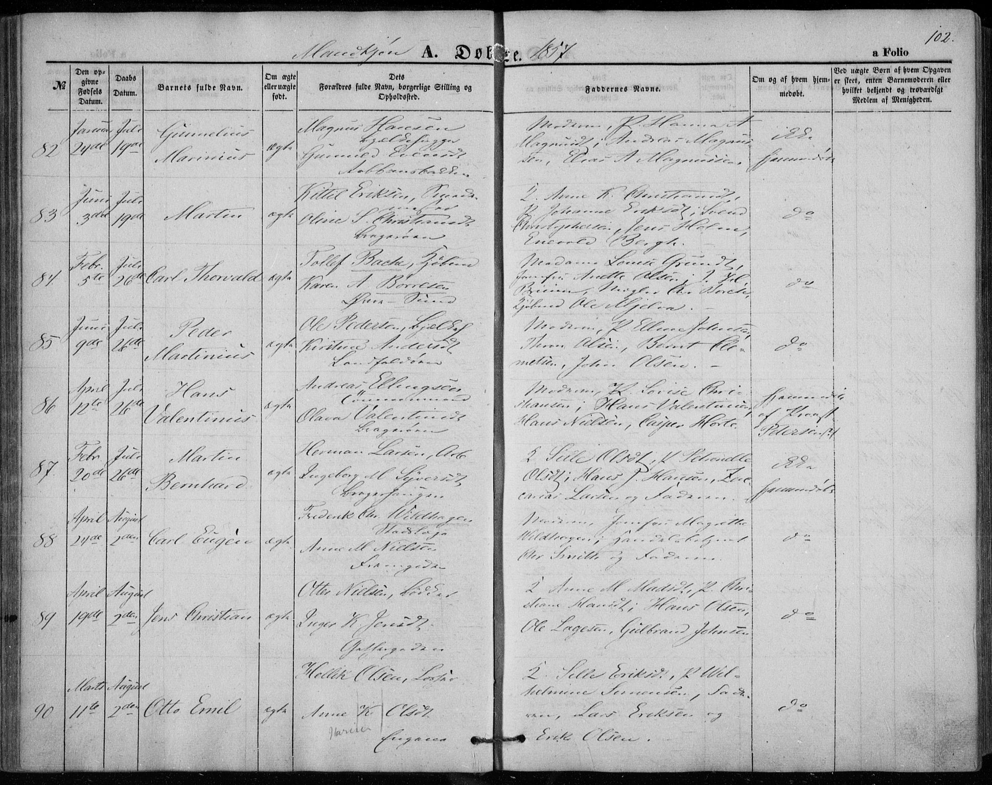 Bragernes kirkebøker, SAKO/A-6/F/Fb/L0002: Parish register (official) no. II 2, 1848-1859, p. 102