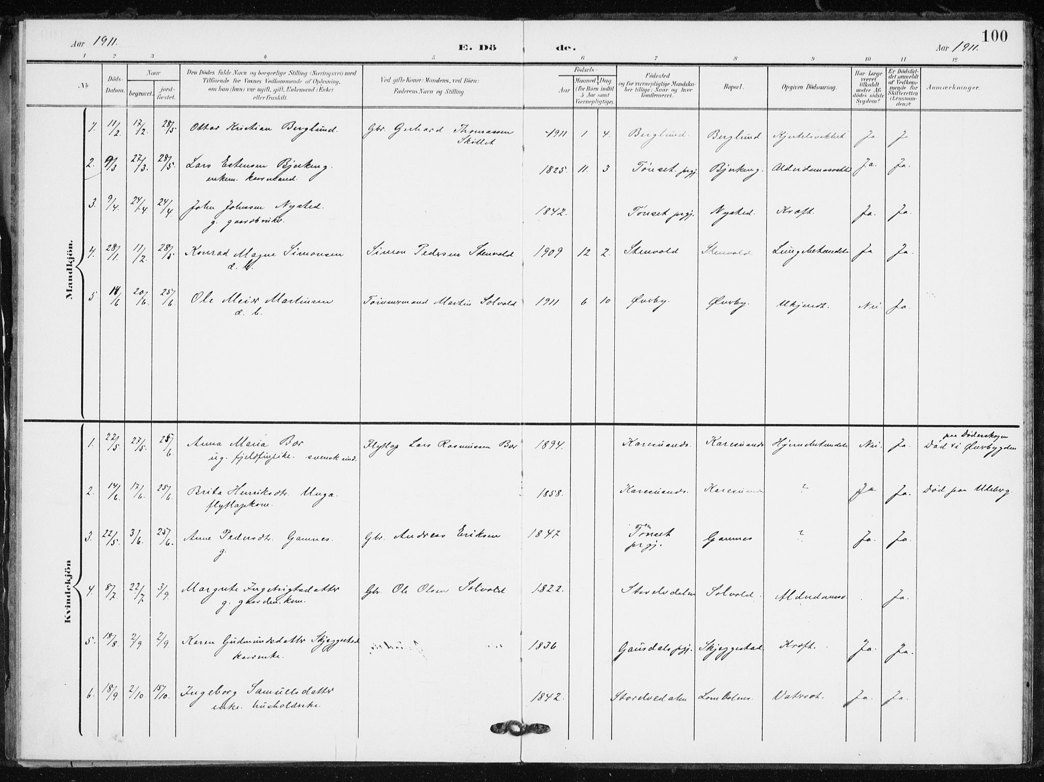 Målselv sokneprestembete, SATØ/S-1311/G/Ga/Gaa/L0012kirke: Parish register (official) no. 12, 1903-1920, p. 100