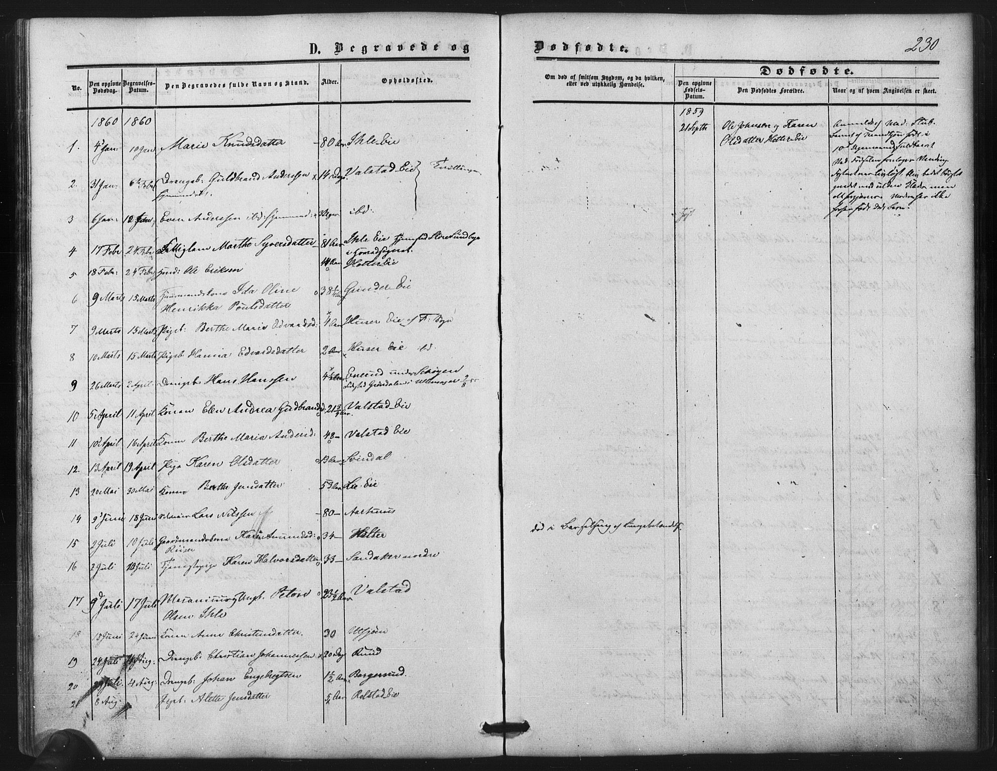 Nes prestekontor Kirkebøker, AV/SAO-A-10410/F/Fb/L0001: Parish register (official) no. II 1, 1859-1882, p. 230