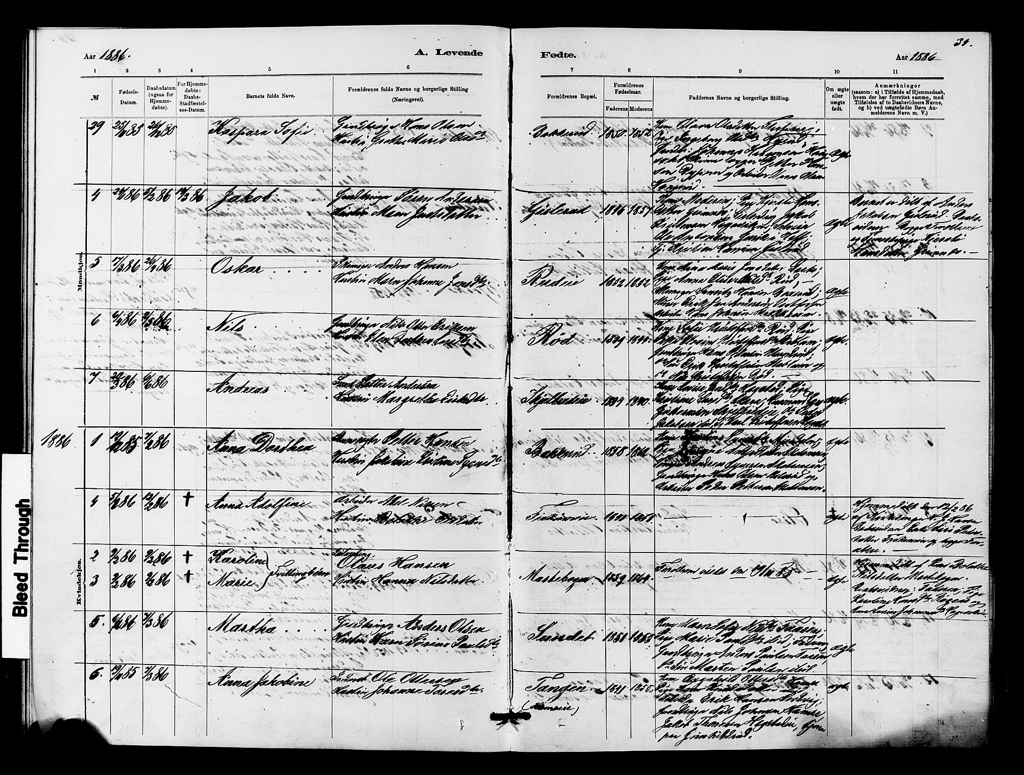 Fiskum kirkebøker, AV/SAKO-A-15/G/Ga/L0004: Parish register (copy) no. 4, 1878-1887, p. 34