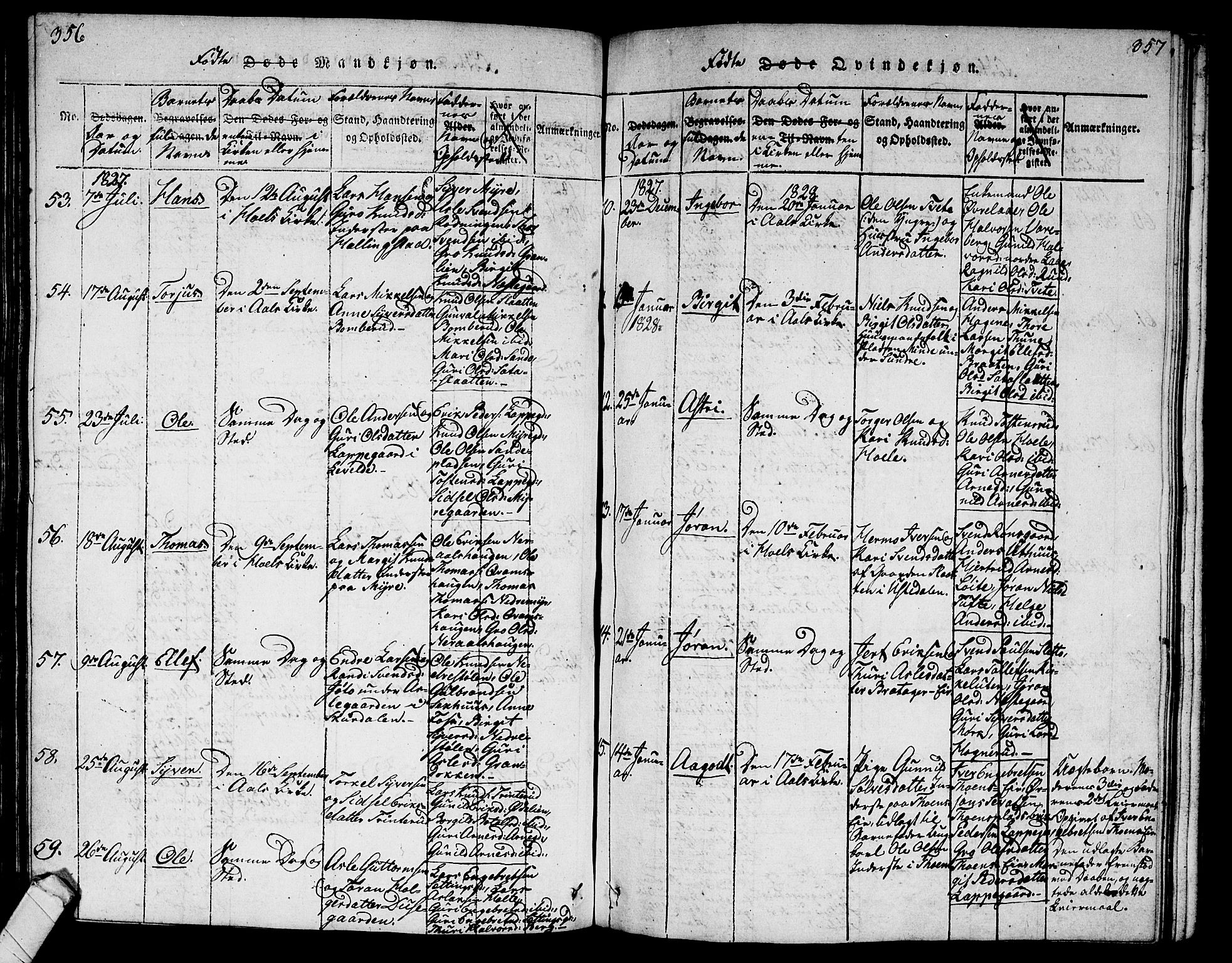 Ål kirkebøker, AV/SAKO-A-249/G/Ga/L0001: Parish register (copy) no. 1, 1815-1829, p. 356-357