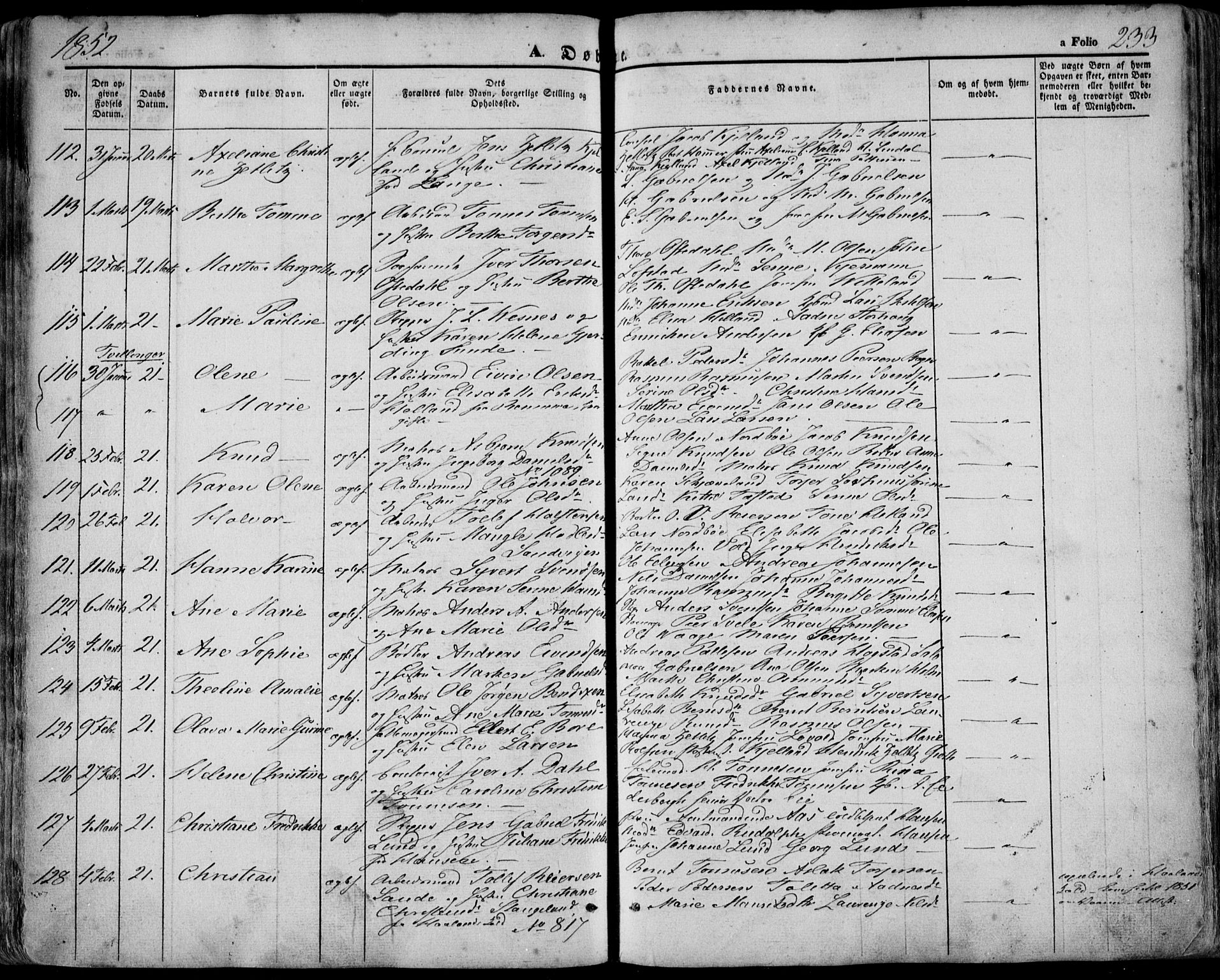 Domkirken sokneprestkontor, SAST/A-101812/001/30/30BA/L0016: Parish register (official) no. A 15, 1844-1854, p. 233