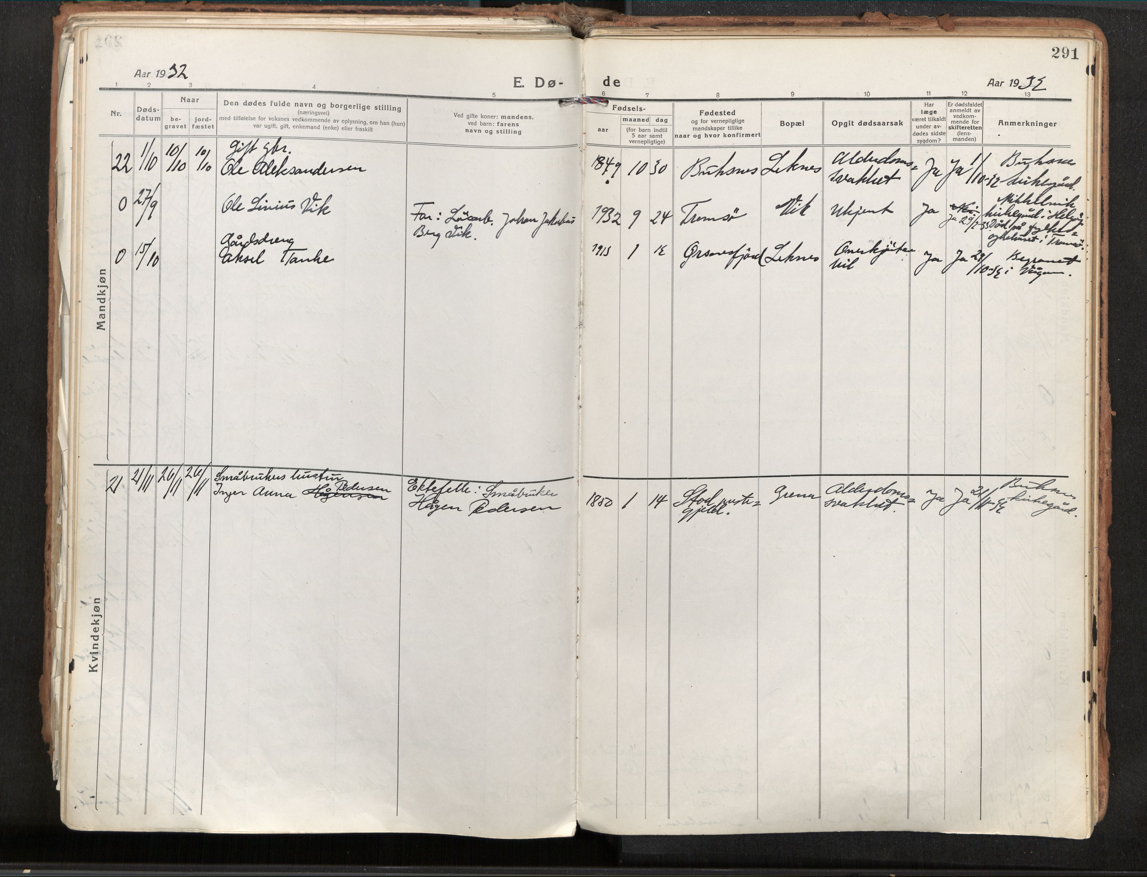 Ministerialprotokoller, klokkerbøker og fødselsregistre - Nordland, AV/SAT-A-1459/881/L1160: Parish register (official) no. 881A13, 1919-1937, p. 291