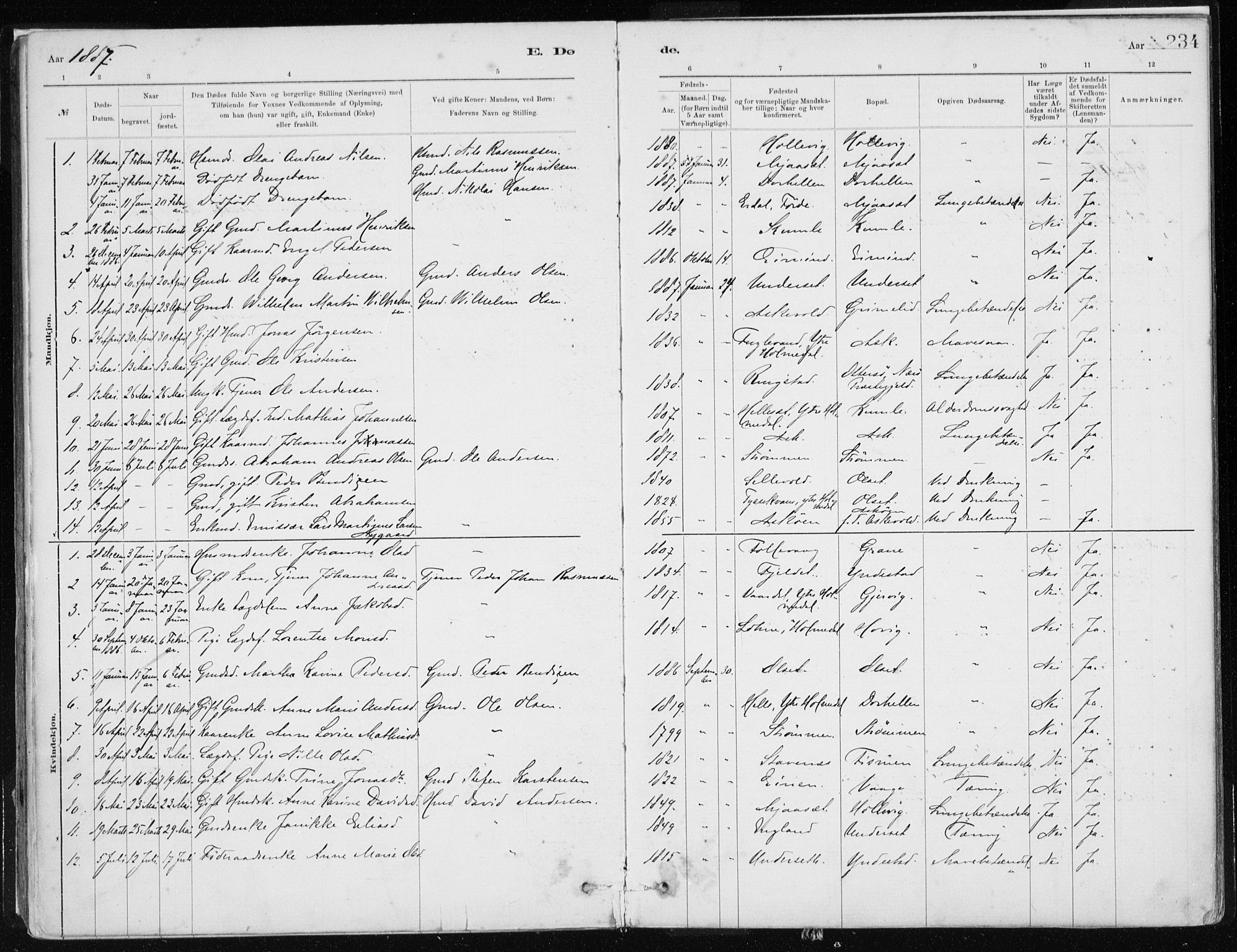 Askvoll sokneprestembete, SAB/A-79501/H/Haa/Haab/L0002: Parish register (official) no. B 2, 1879-1909, p. 234