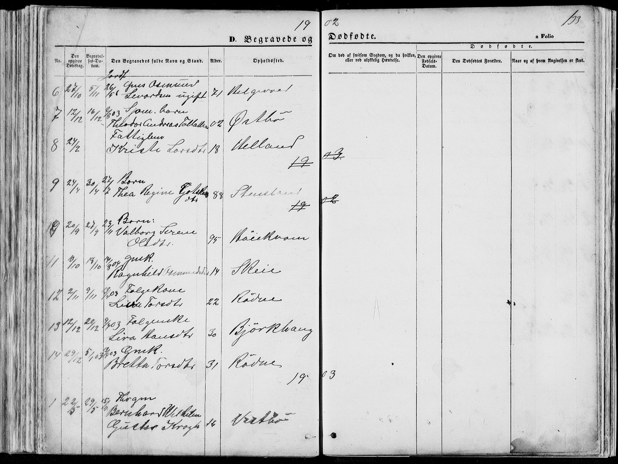 Vikedal sokneprestkontor, SAST/A-101840/01/V: Parish register (copy) no. B 10, 1864-1926, p. 133
