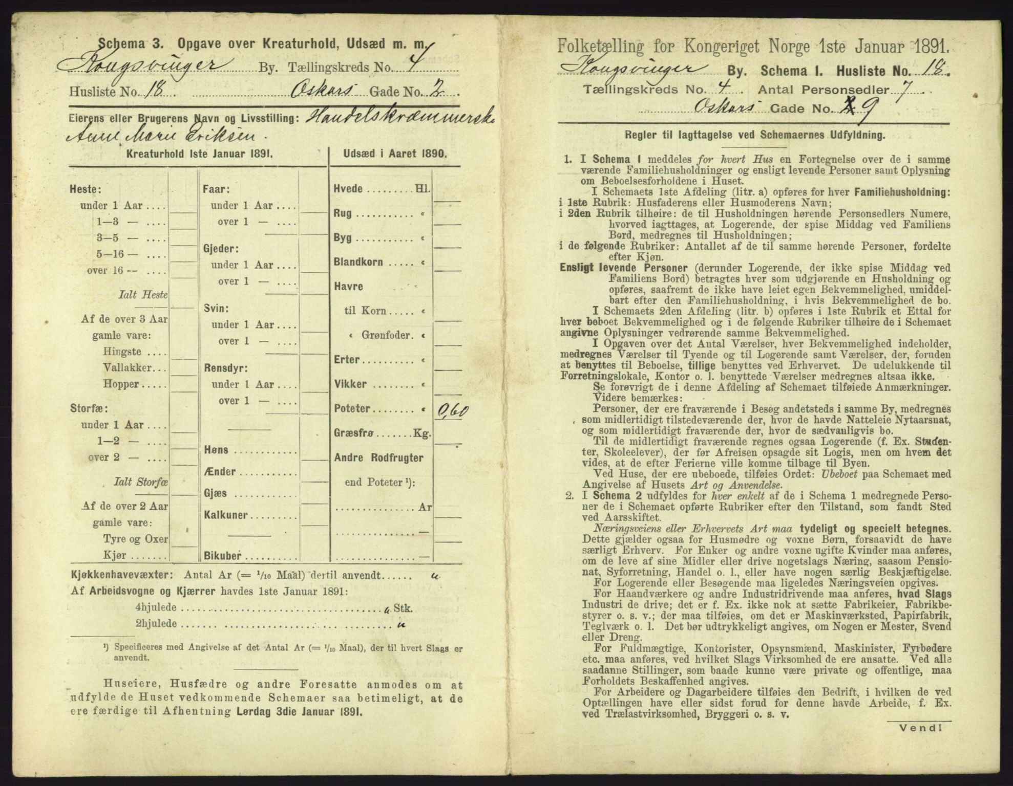 RA, 1891 census for 0402 Kongsvinger, 1891, p. 283