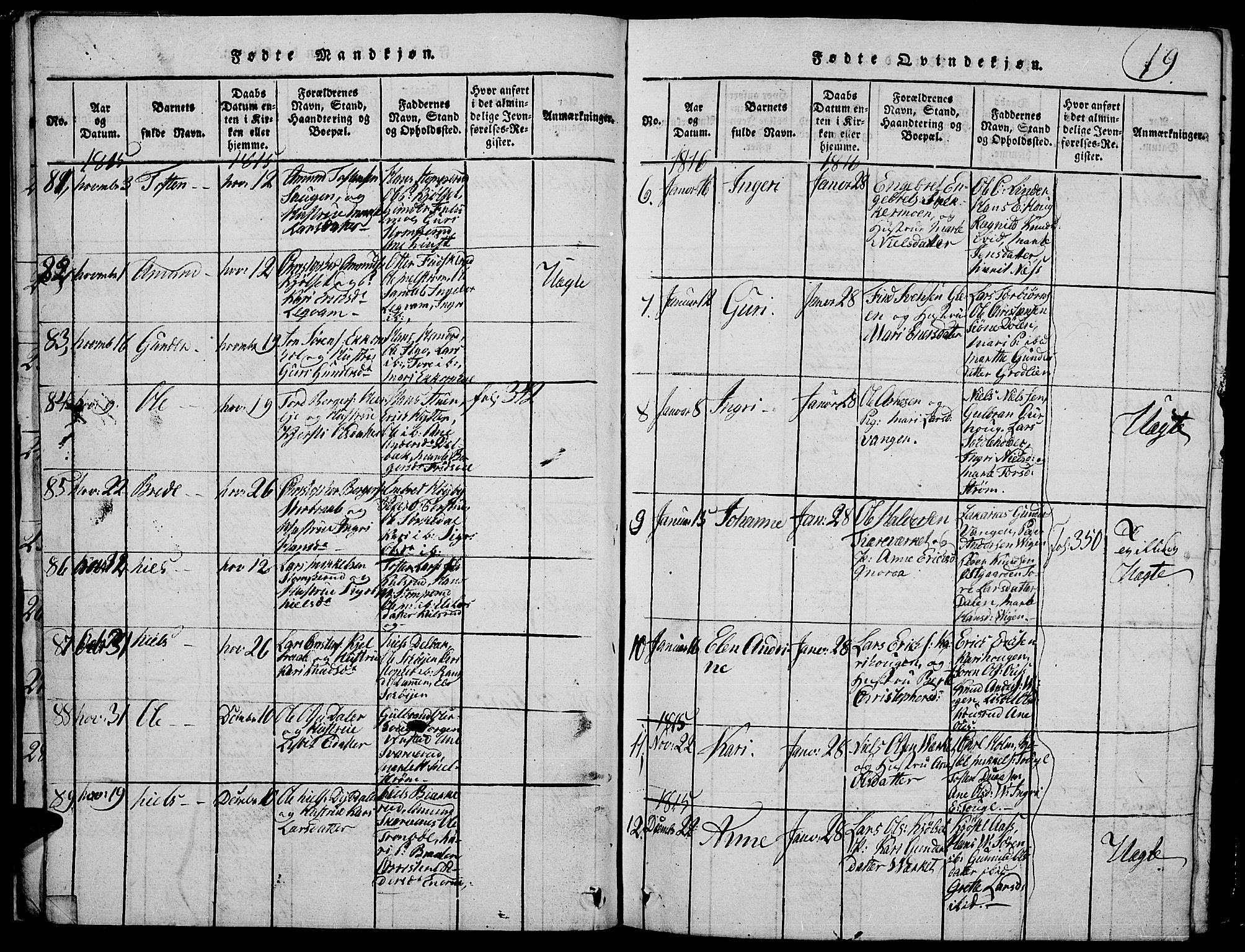 Strøm-Odalen prestekontor, SAH/PREST-028/H/Ha/Hab/L0001: Parish register (copy) no. 1, 1813-1825, p. 19