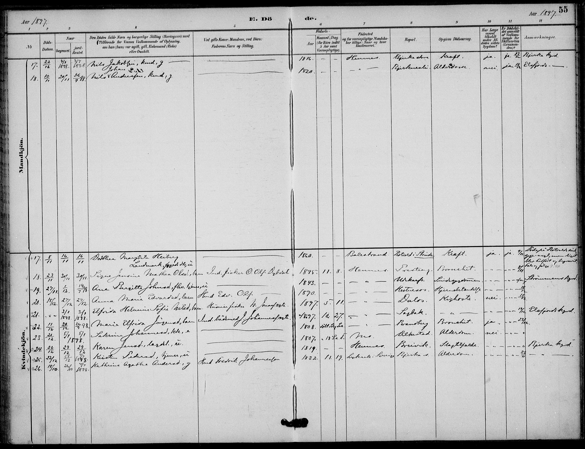 Ministerialprotokoller, klokkerbøker og fødselsregistre - Nordland, SAT/A-1459/825/L0363: Parish register (official) no. 825A17, 1890-1909, p. 55