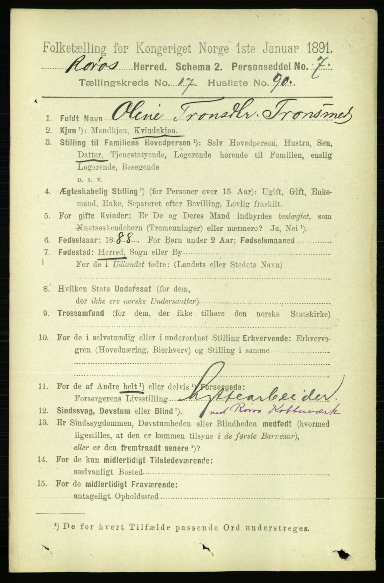 RA, 1891 census for 1640 Røros, 1891, p. 4796