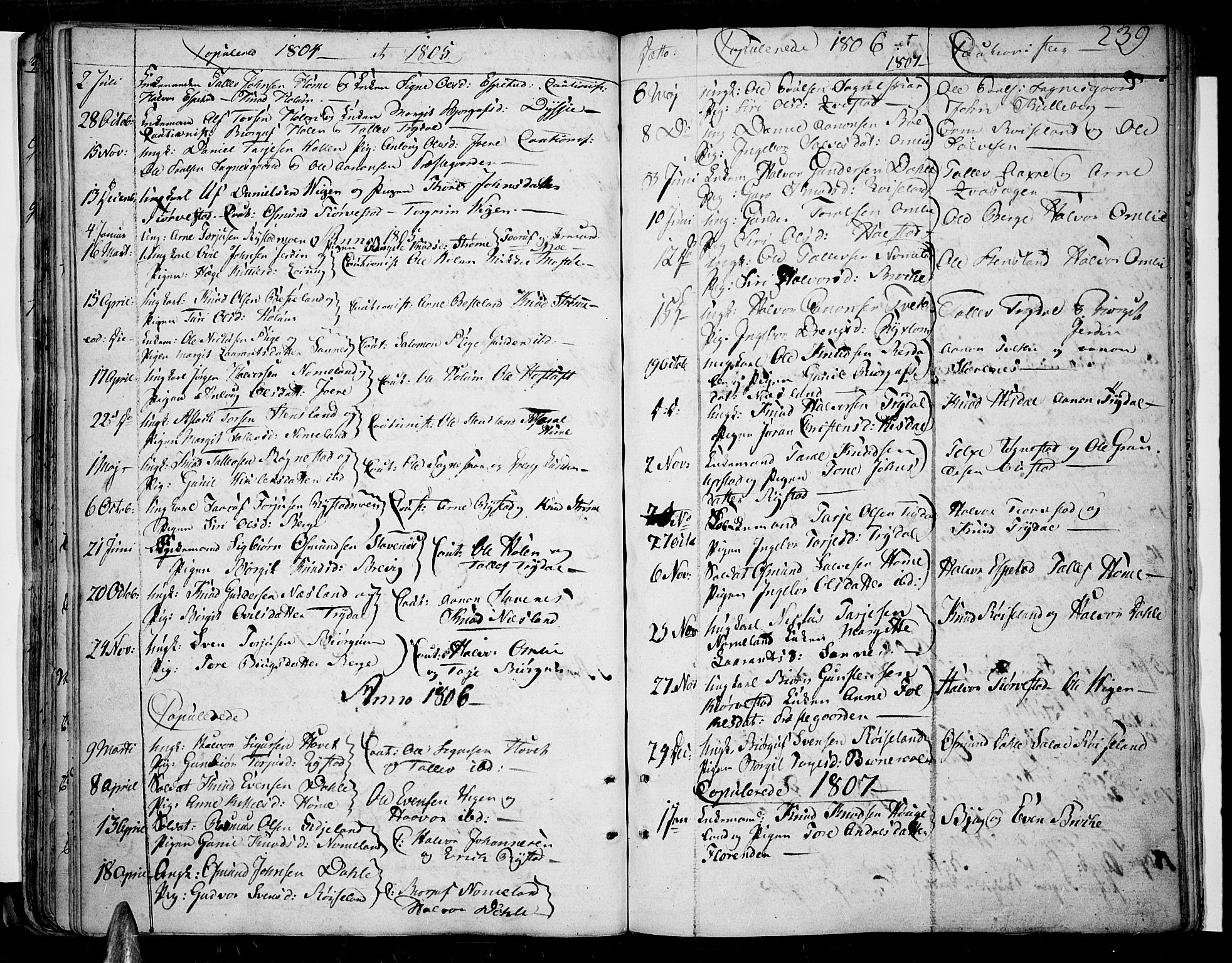 Valle sokneprestkontor, SAK/1111-0044/F/Fa/Fac/L0004: Parish register (official) no. A 4, 1790-1816, p. 239