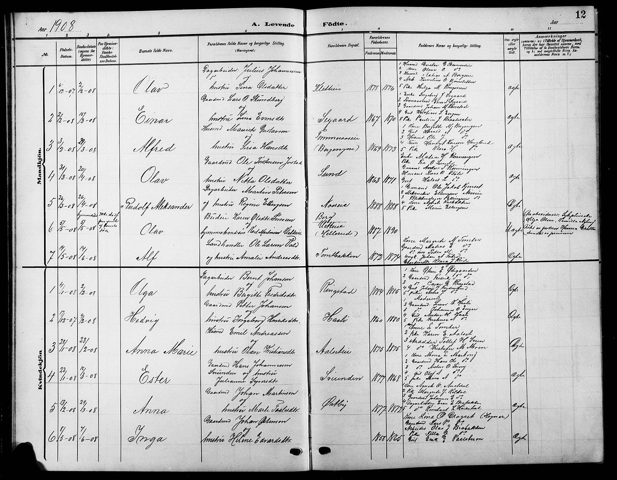 Biri prestekontor, SAH/PREST-096/H/Ha/Hab/L0005: Parish register (copy) no. 5, 1906-1919, p. 12