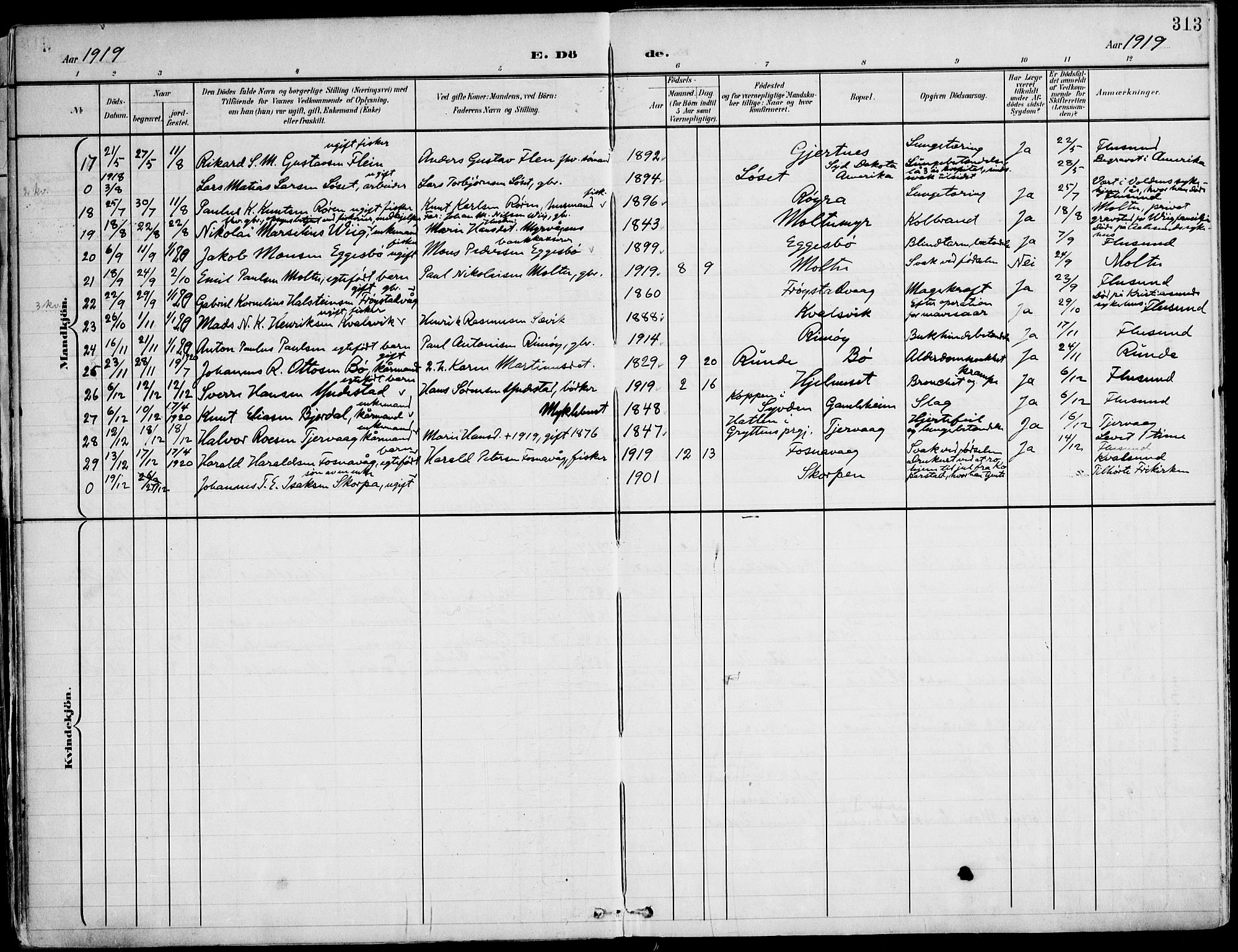 Ministerialprotokoller, klokkerbøker og fødselsregistre - Møre og Romsdal, AV/SAT-A-1454/507/L0075: Parish register (official) no. 507A10, 1901-1920, p. 313