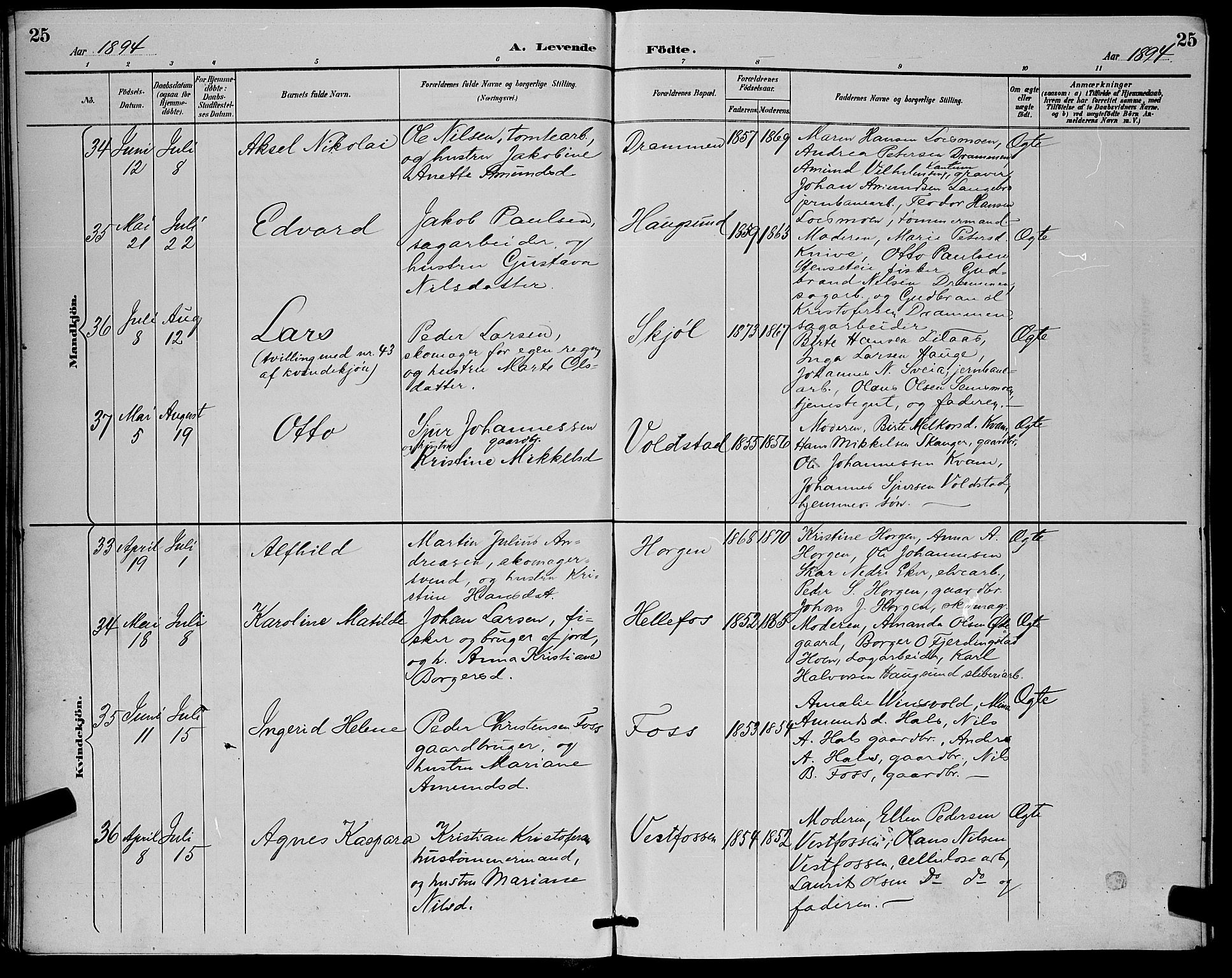 Eiker kirkebøker, AV/SAKO-A-4/G/Ga/L0007: Parish register (copy) no. I 7, 1893-1902, p. 25