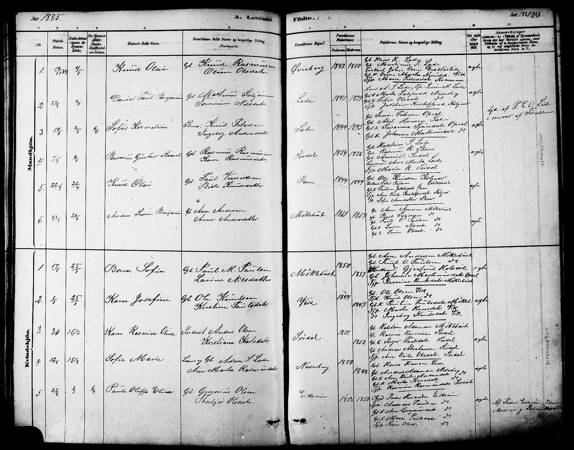 Ministerialprotokoller, klokkerbøker og fødselsregistre - Møre og Romsdal, AV/SAT-A-1454/502/L0027: Parish register (copy) no. 502C01, 1878-1908, p. 29