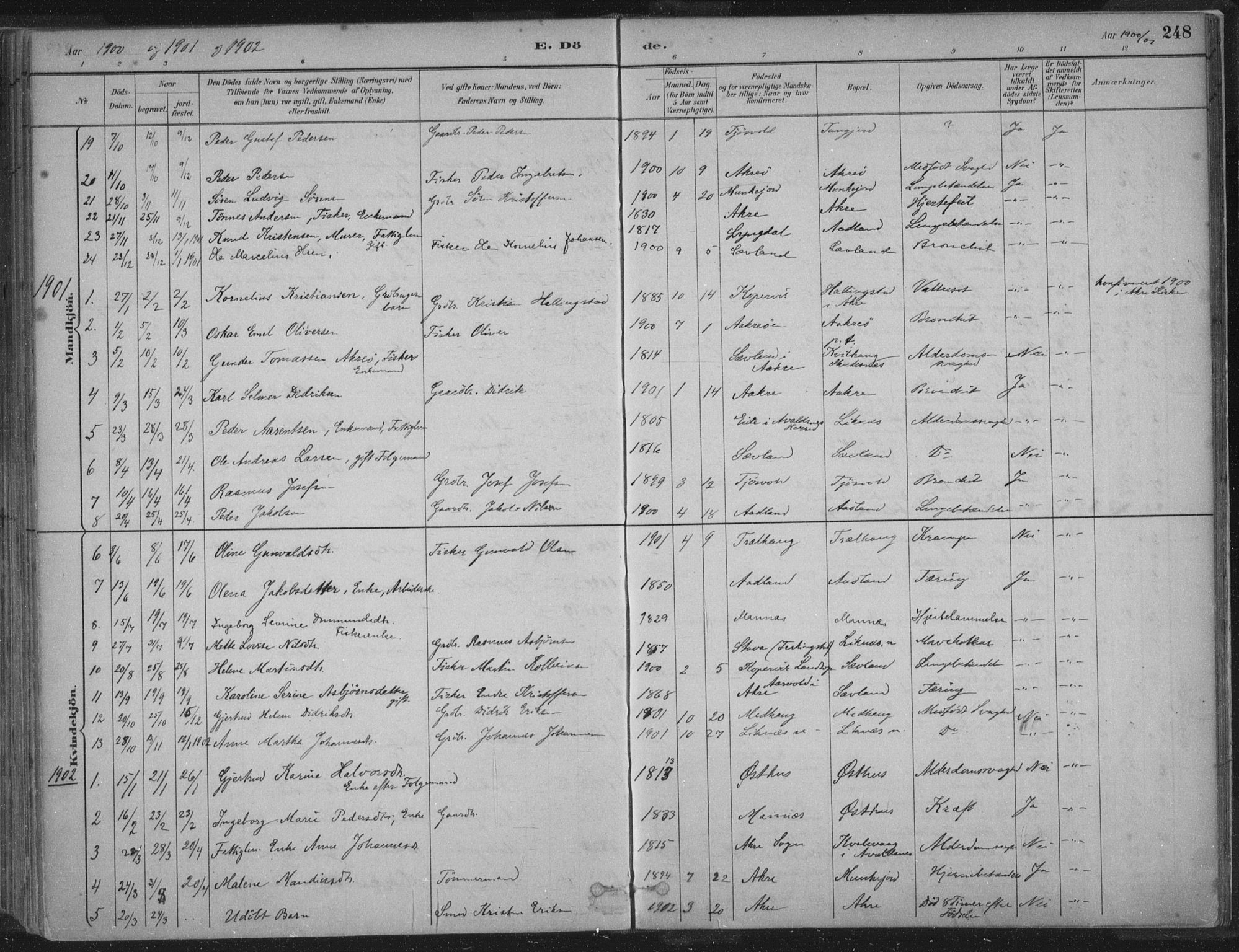 Kopervik sokneprestkontor, SAST/A-101850/H/Ha/Haa/L0004: Parish register (official) no. A 4, 1882-1905, p. 248