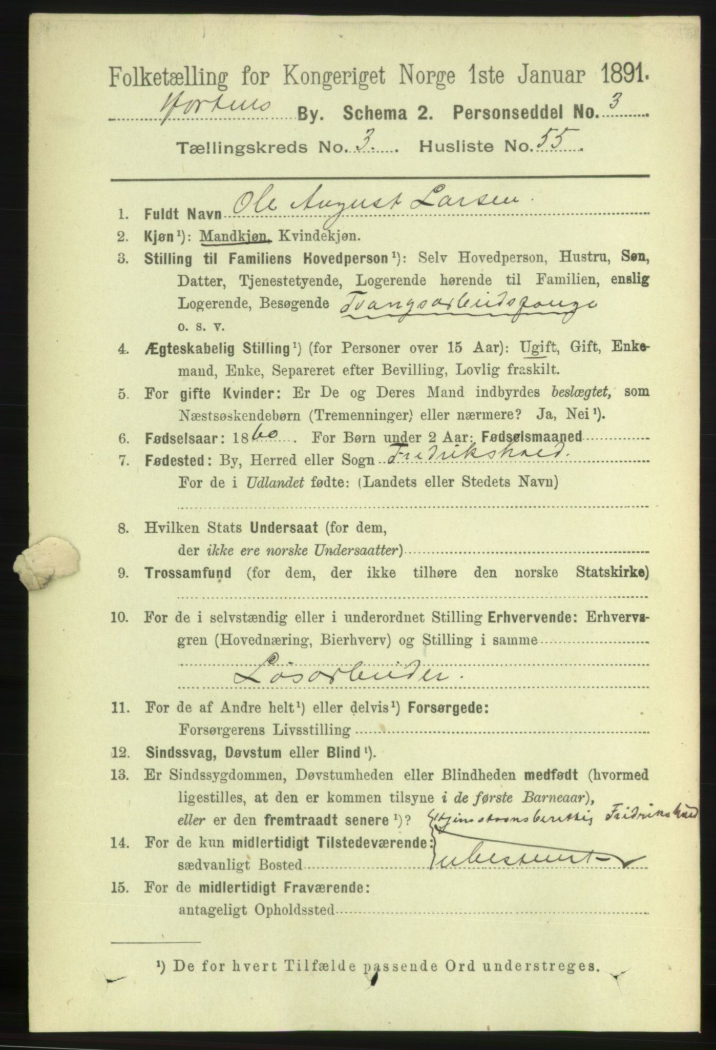 RA, 1891 census for 0703 Horten, 1891, p. 3215