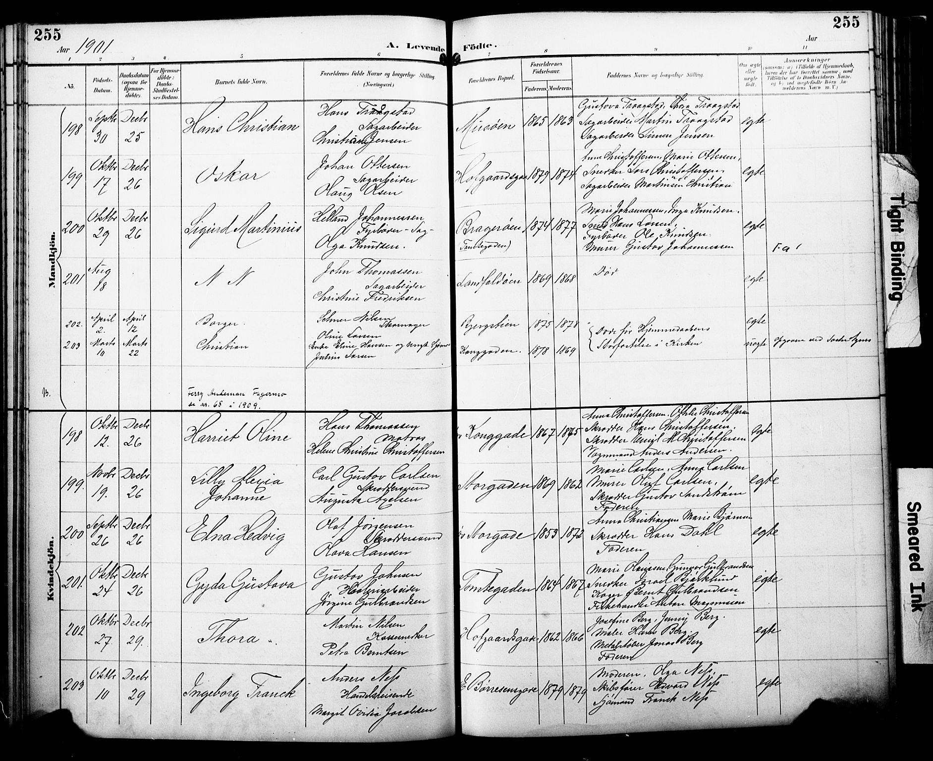 Bragernes kirkebøker, AV/SAKO-A-6/F/Fb/L0008: Parish register (official) no. II 8, 1894-1902, p. 255