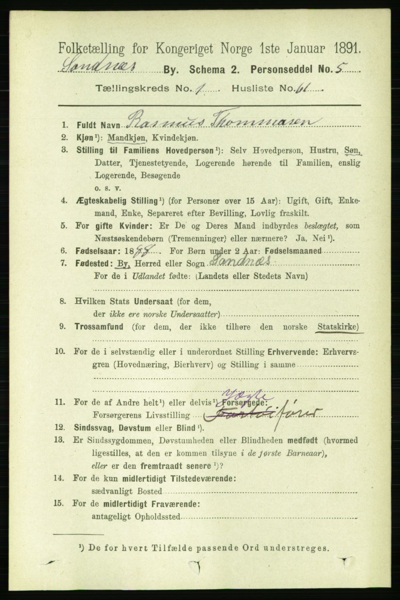 RA, 1891 census for 1102 Sandnes, 1891, p. 925