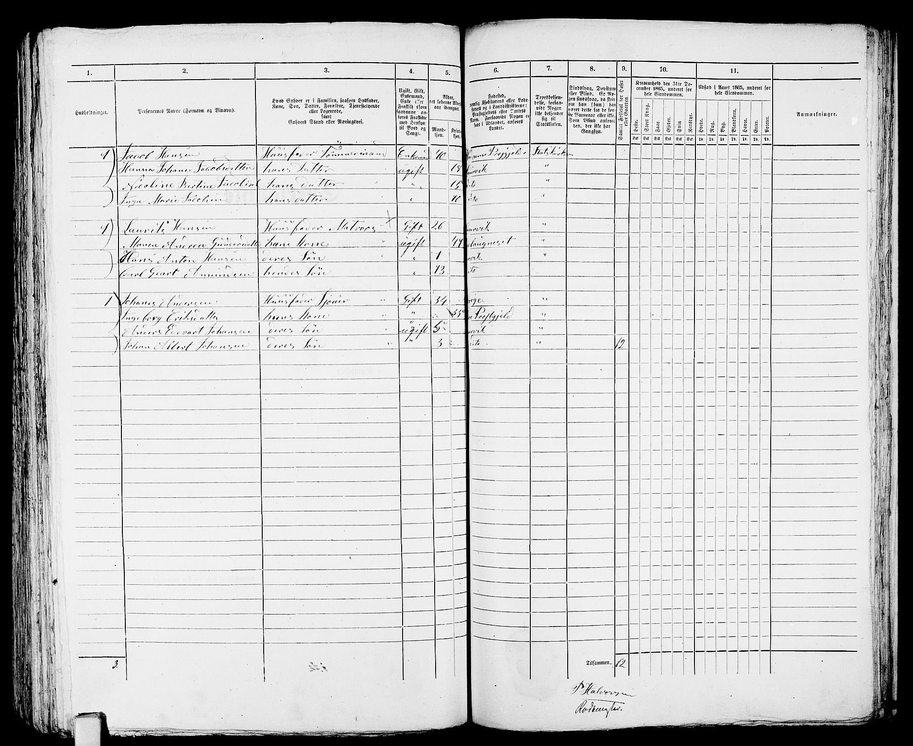 RA, 1865 census for Larvik, 1865, p. 573