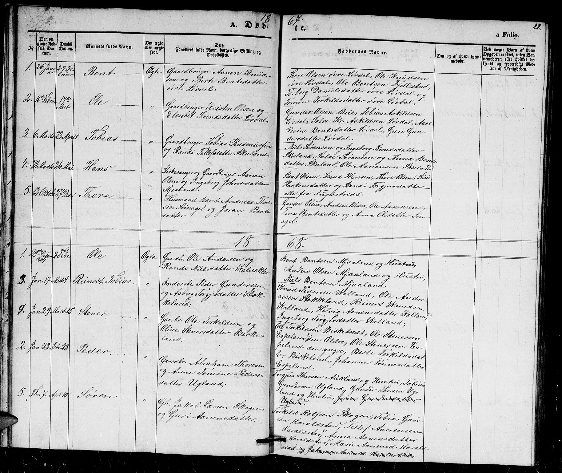 Holum sokneprestkontor, SAK/1111-0022/F/Fb/Fbb/L0002: Parish register (copy) no. B 2, 1847-1874, p. 22
