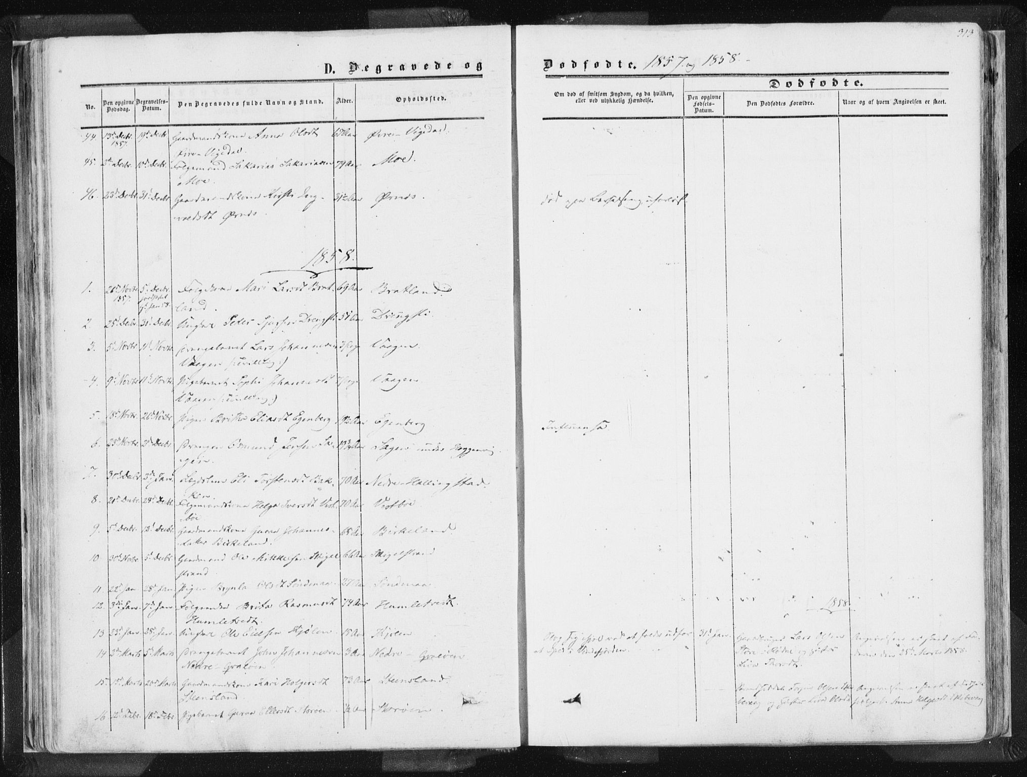 Vikedal sokneprestkontor, AV/SAST-A-101840/01/IV: Parish register (official) no. A 6.2, 1851-1867, p. 313