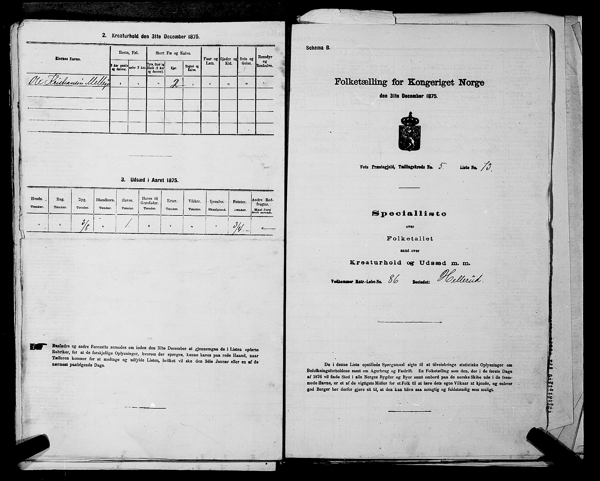 RA, 1875 census for 0227P Fet, 1875, p. 794