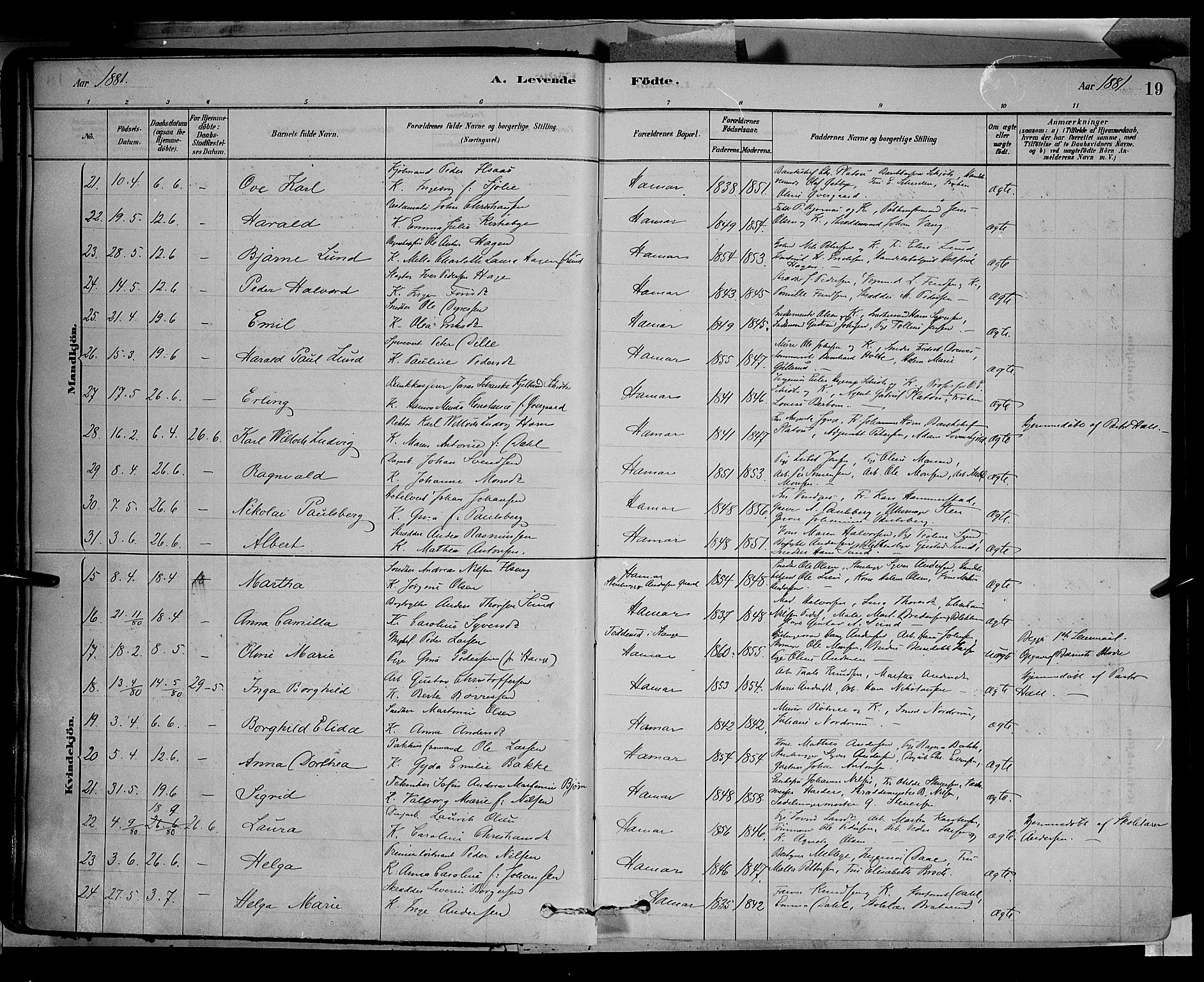 Vang prestekontor, Hedmark, AV/SAH-PREST-008/H/Ha/Haa/L0016: Parish register (official) no. 16, 1878-1889, p. 19