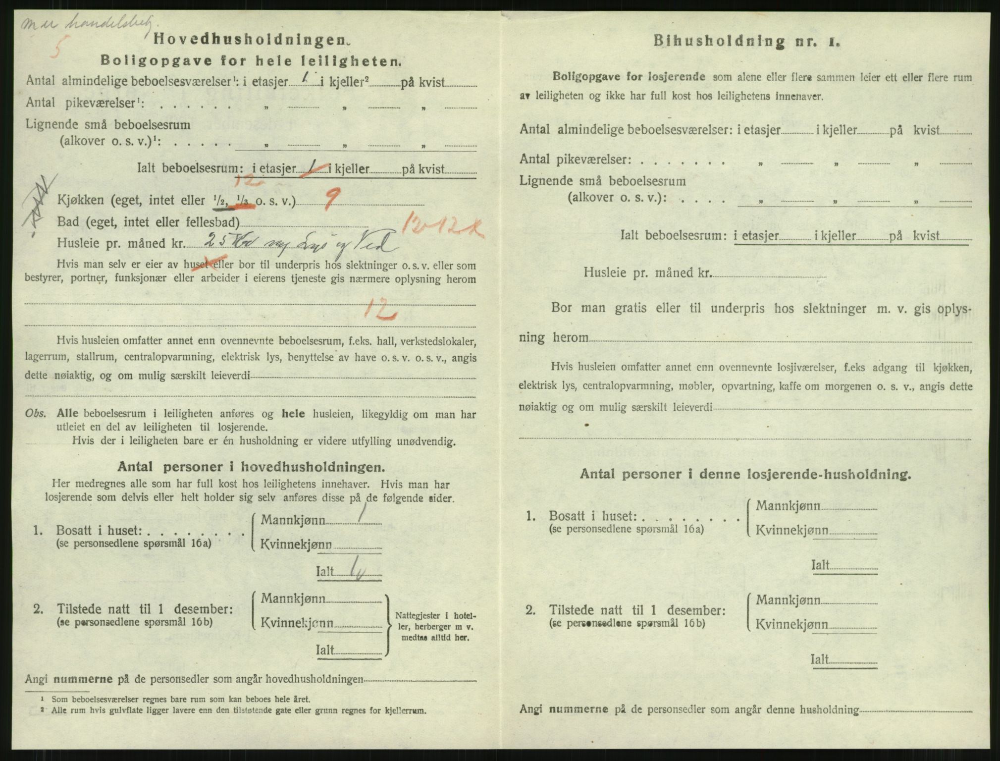 SAT, 1920 census for Namsos, 1920, p. 970