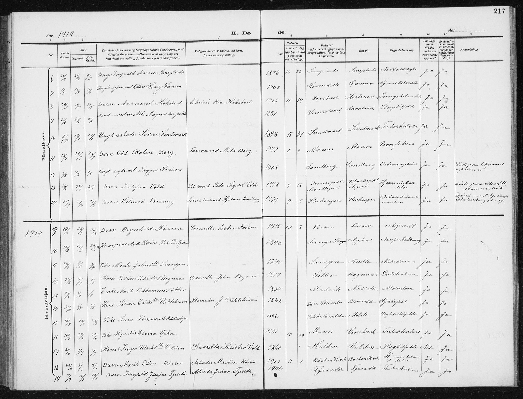 Ministerialprotokoller, klokkerbøker og fødselsregistre - Sør-Trøndelag, SAT/A-1456/617/L0431: Parish register (copy) no. 617C02, 1910-1936, p. 217